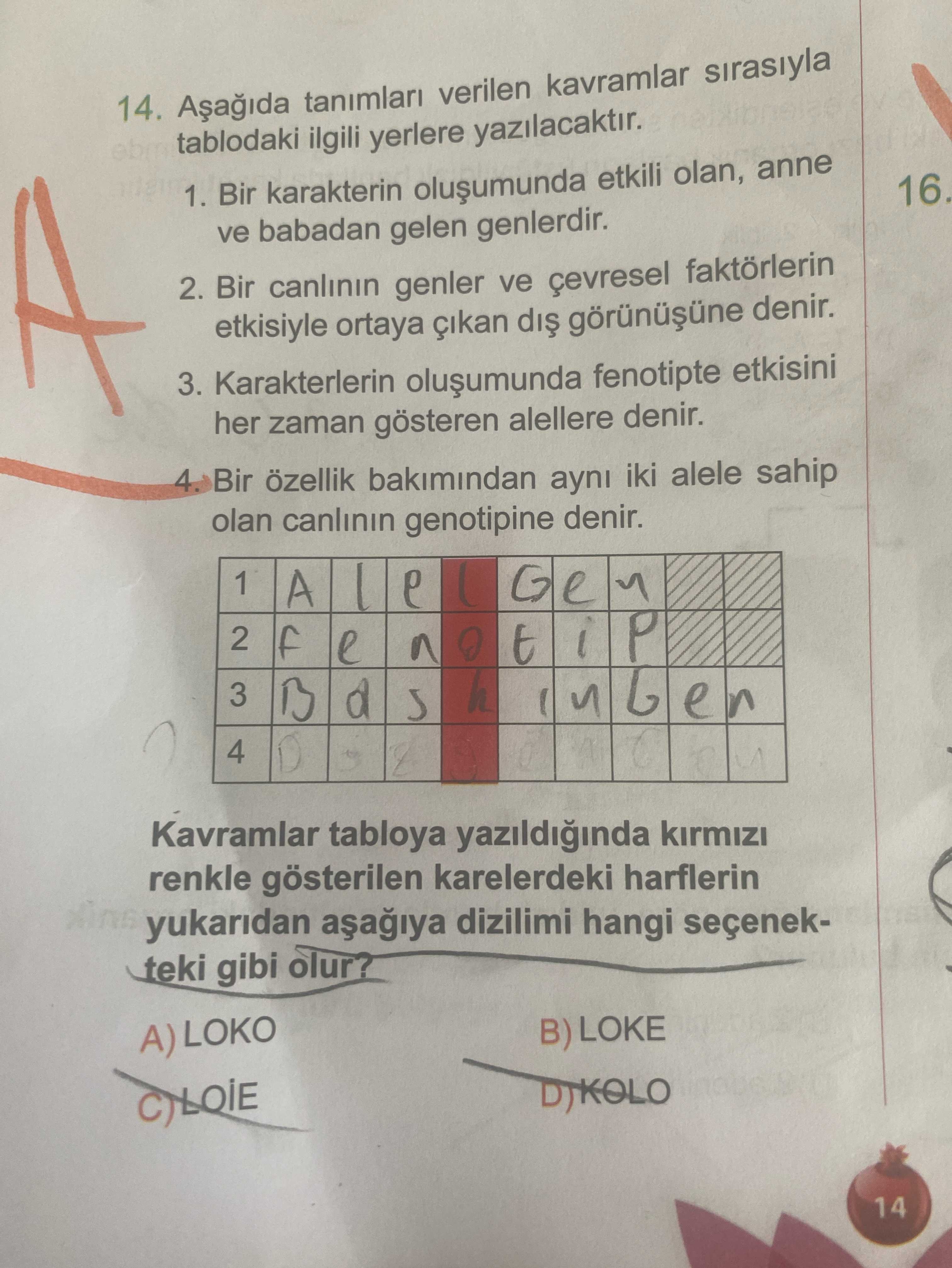 Aşağıda tanımları verilen kavramlar sırasıyla tablodaki ilgili yerlere yazılacaktır. 1. Bir