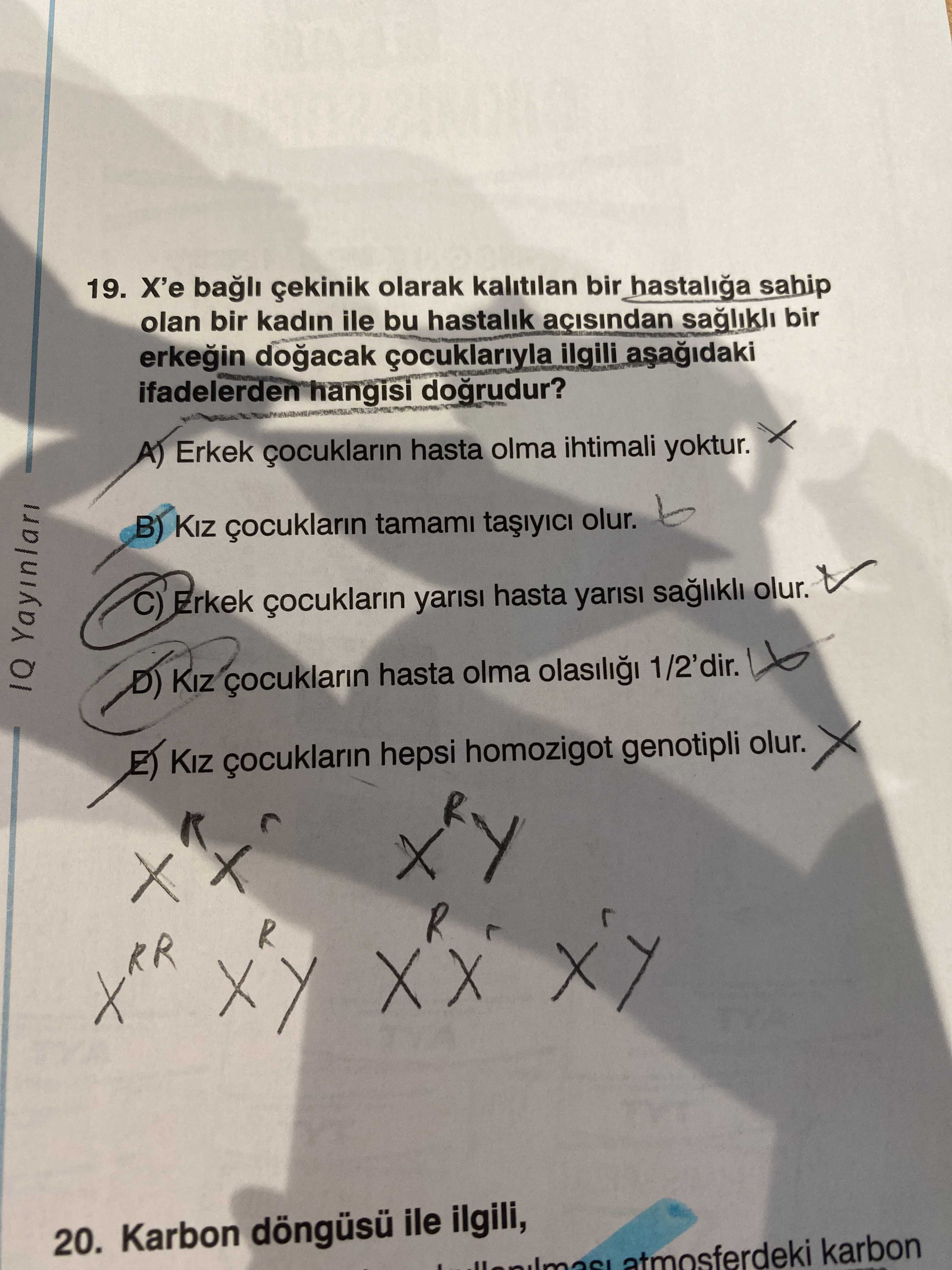 X'e bağlı çekinik olarak kalıtılan bir hastalığa sahip olan bir kadın ile bu hastalık açısından