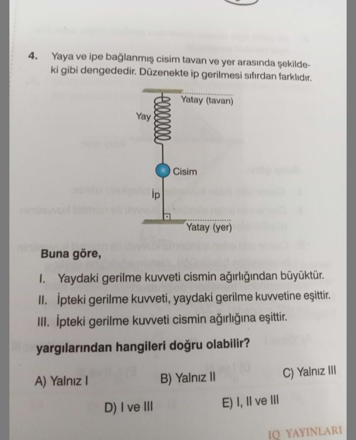 Fizik (11. Sınıf)