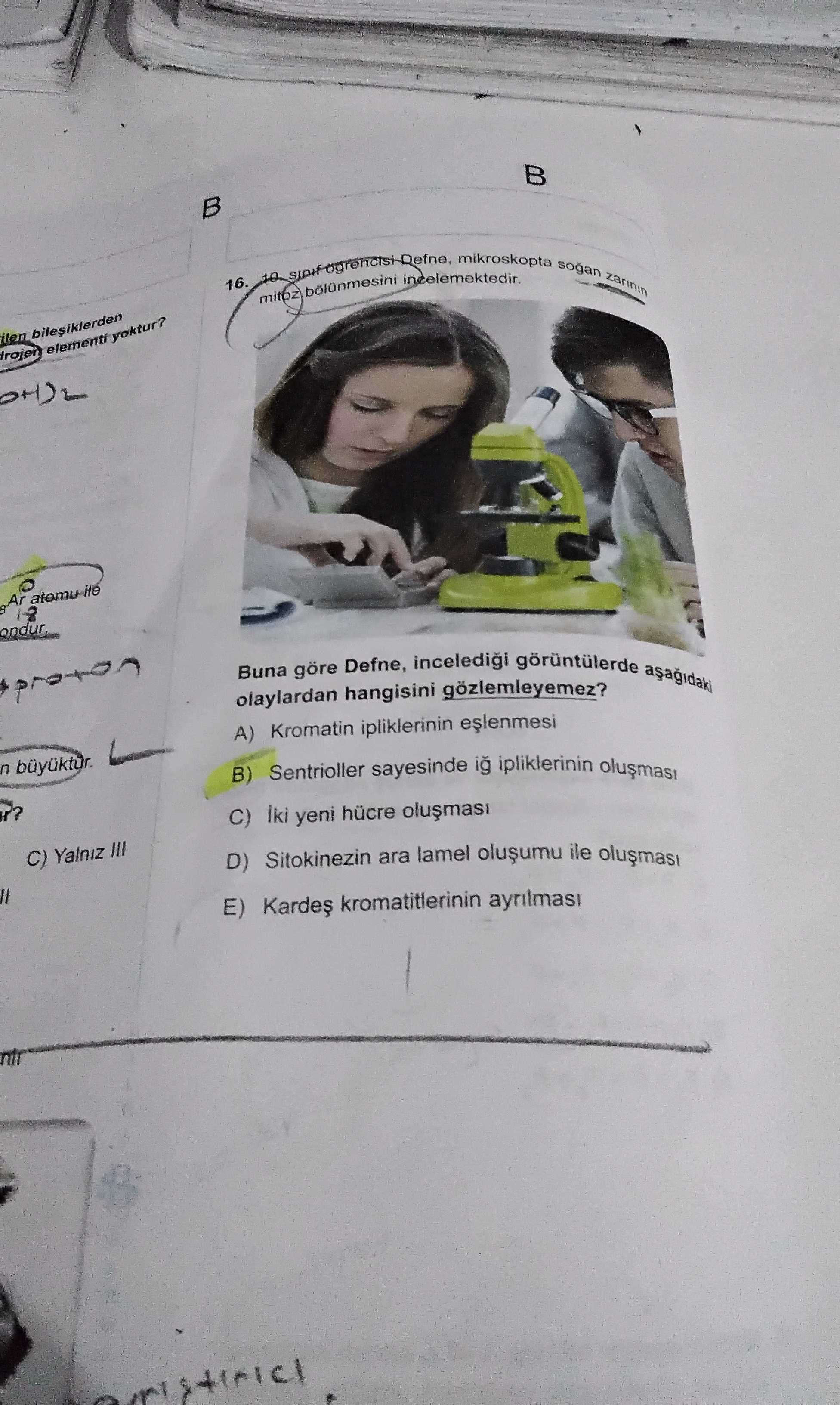 10. sınıf öğrencisi Defne, mikroskopta soğan zarının mitoz bölünmesini incelemektedir. Buna göre