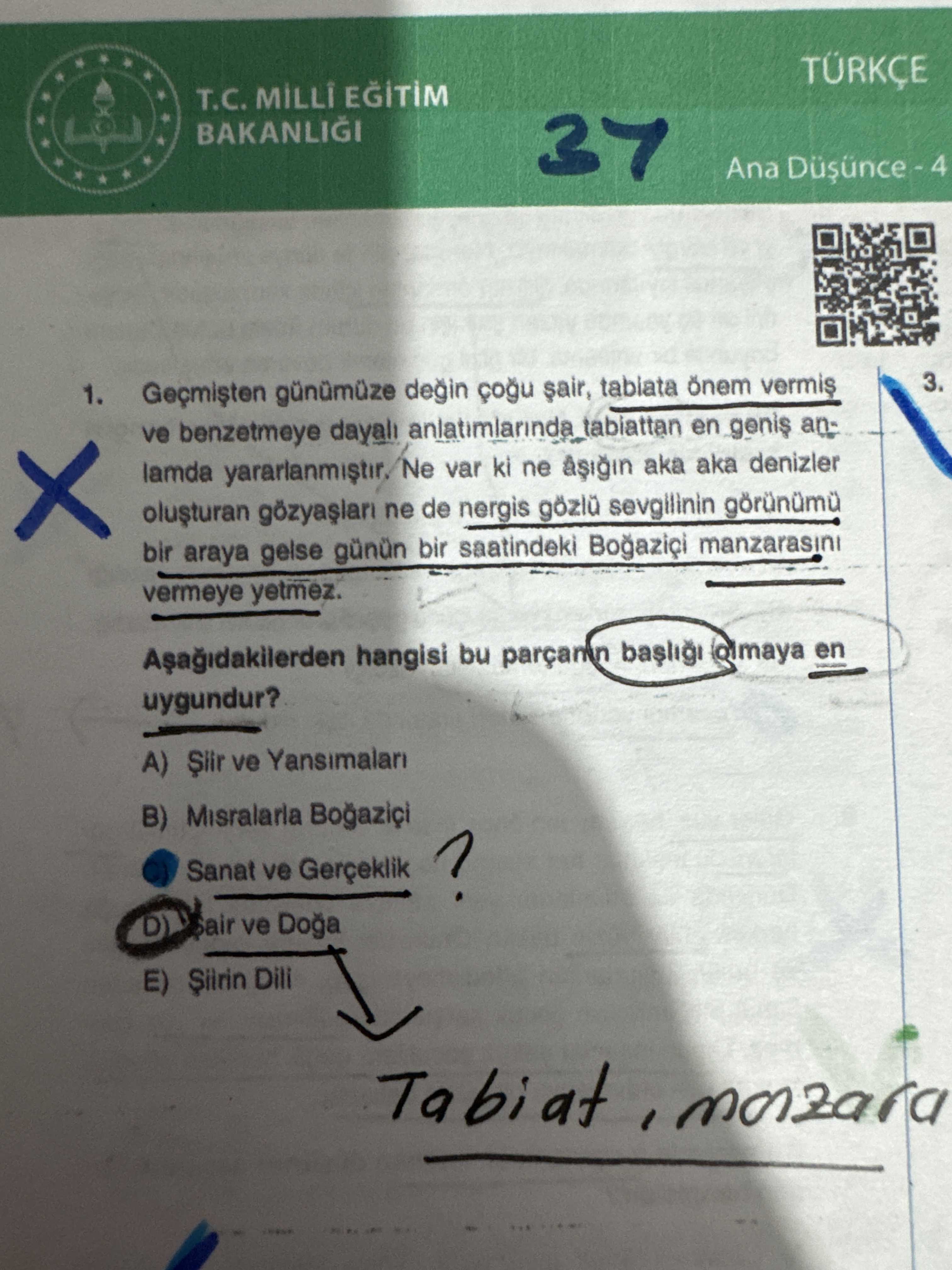 Türkçe (12. Sınıf)
