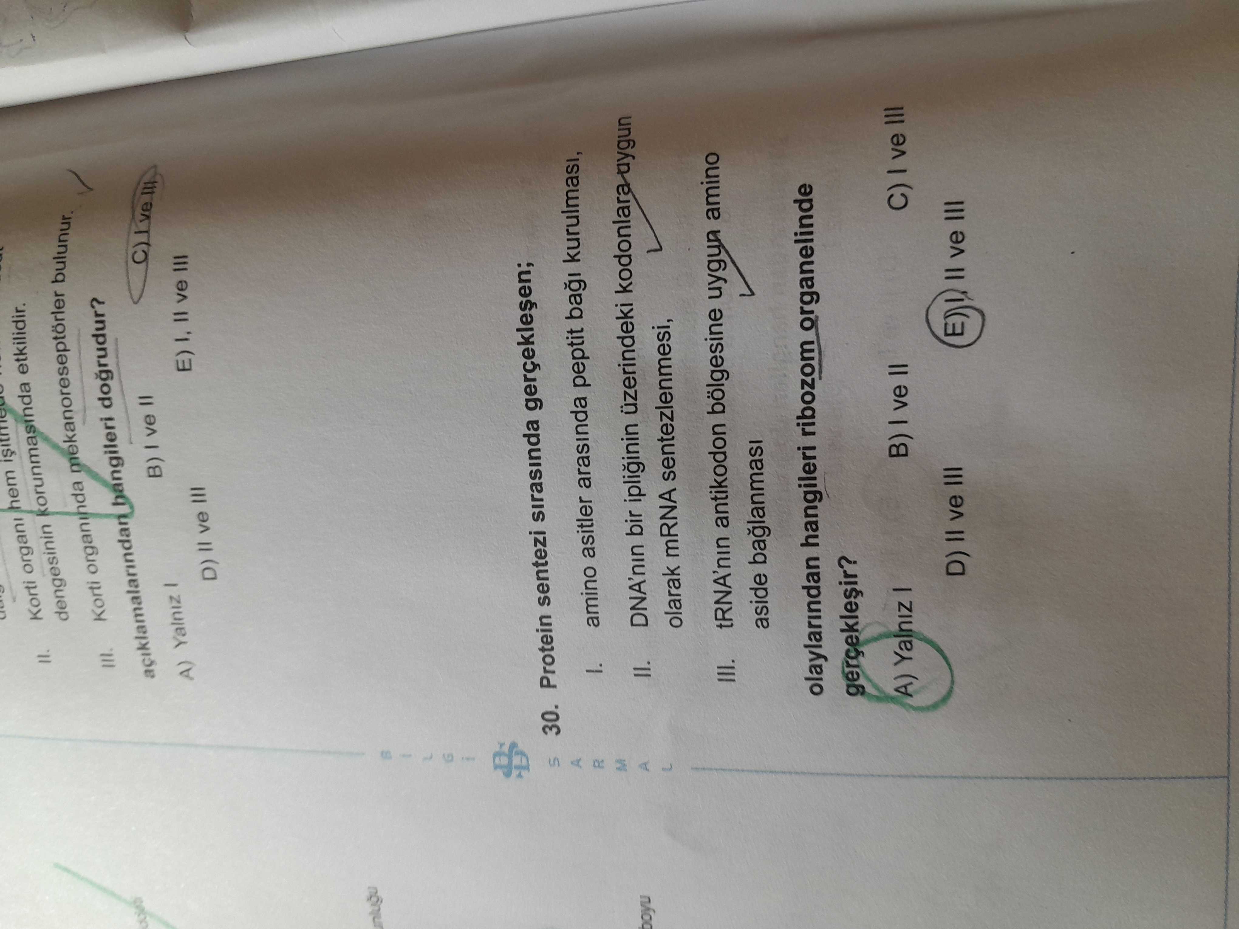 Protein sentezi sırasında gerçekleşen; I. amino asitler arasında peptit bağı kurulması, II. DNA'nın