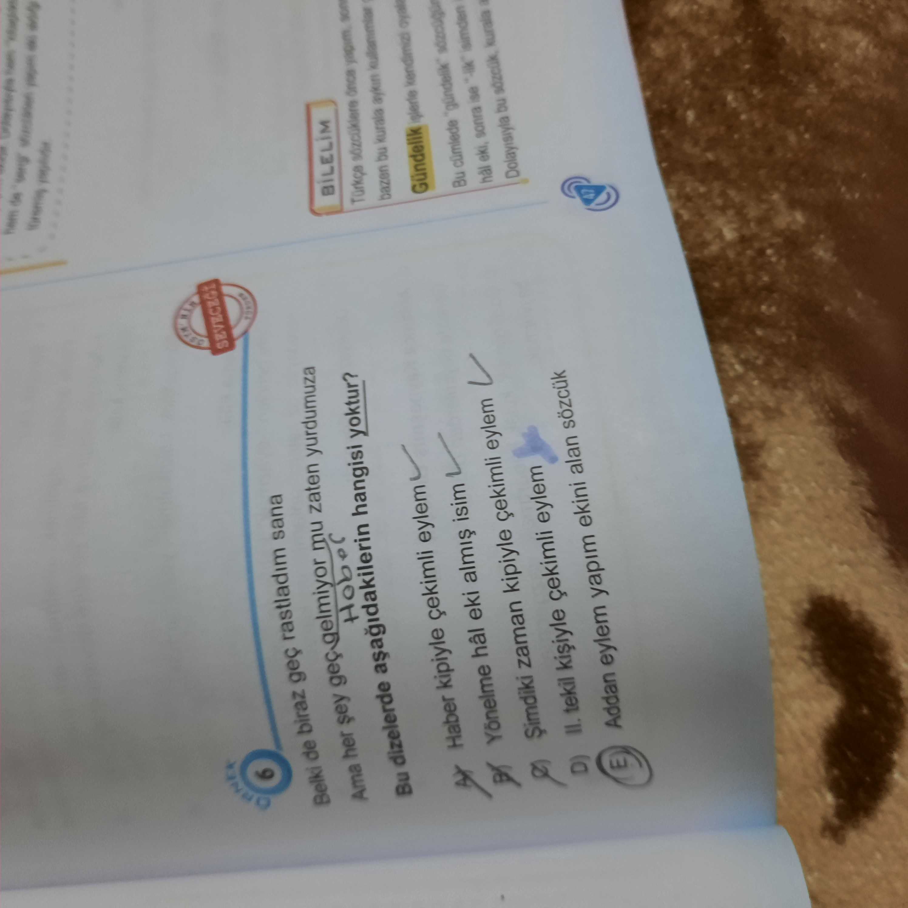 Belki de biraz geç rastladım sana Ama her şey geç gelmiyor mu zaten yurdumuza Bu dizelerde