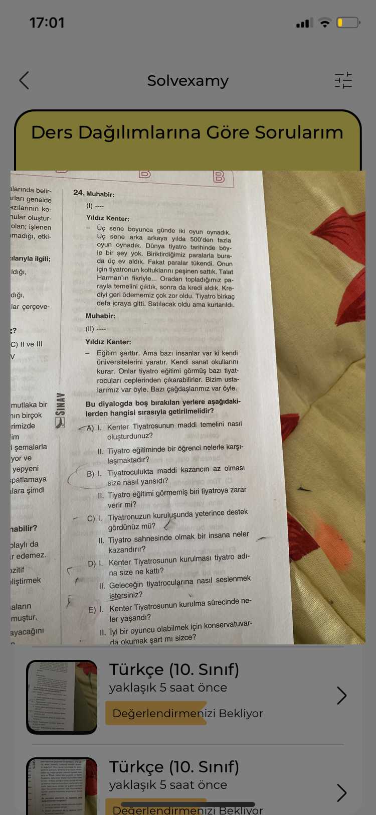Türkçe (10. Sınıf)