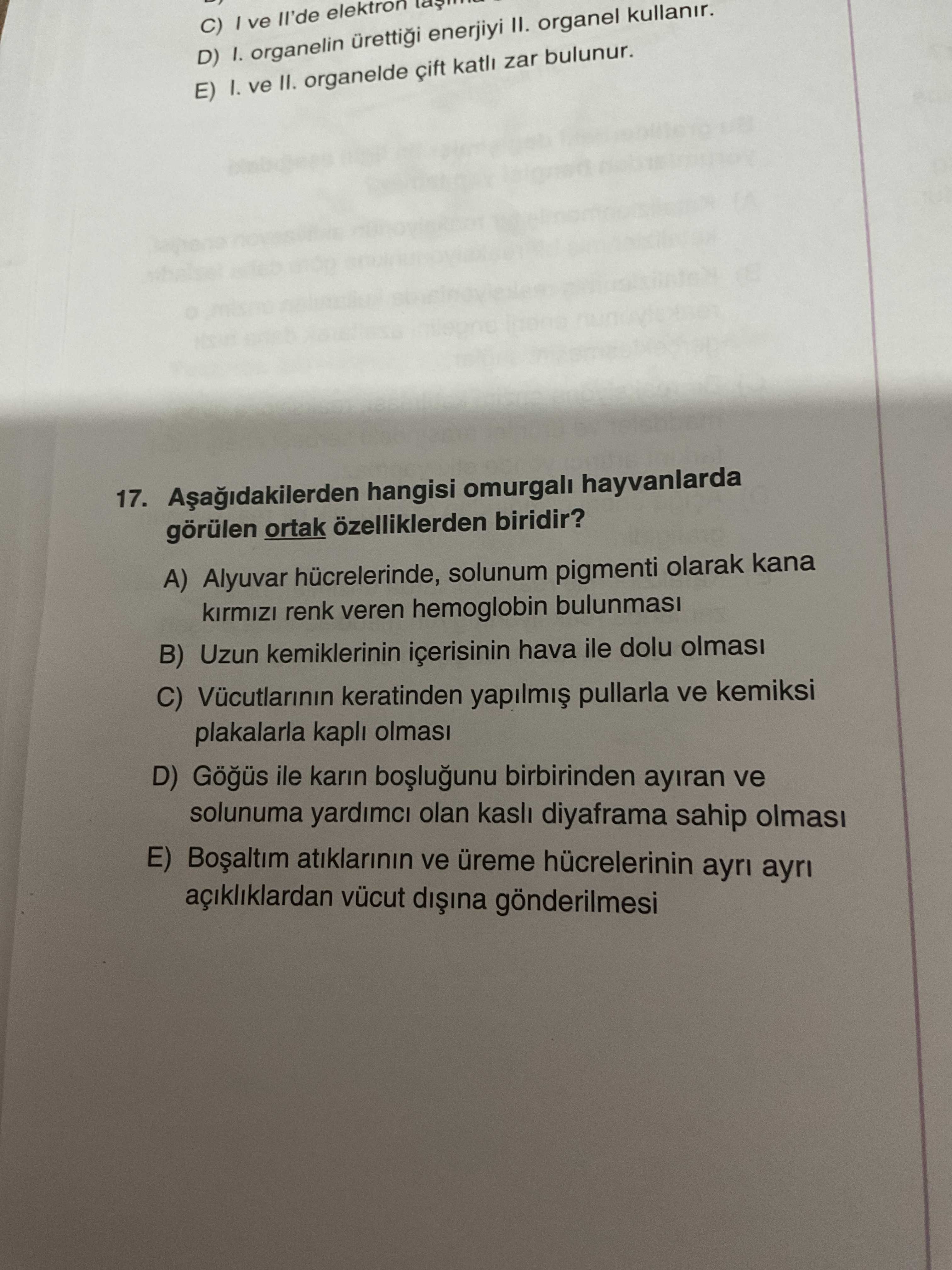 Aşağıdakilerden hangisi omurgalı hayvanlarda görülen ortak özelliklerden biridir?