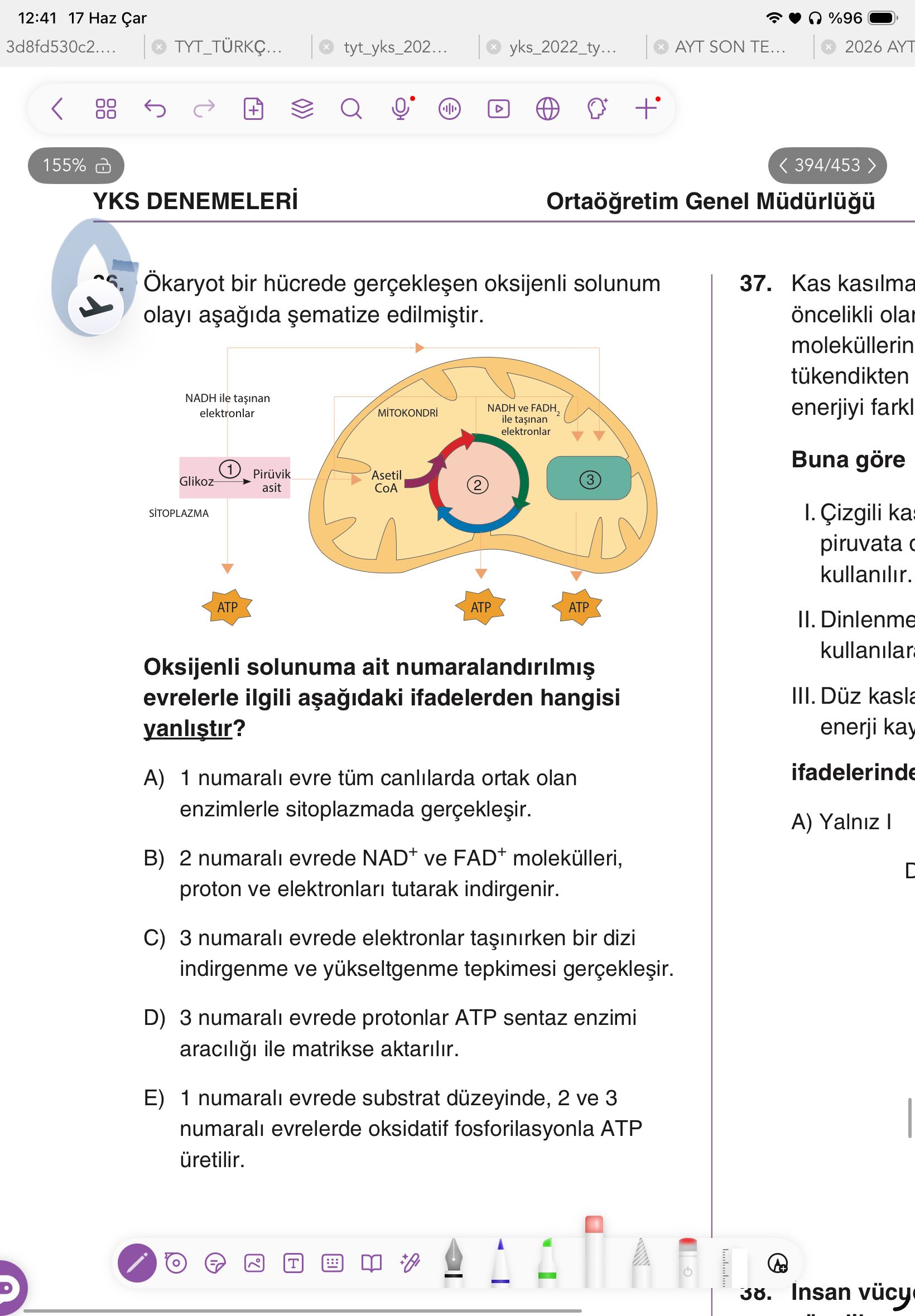 Ökaryot bir hücrede gerçekleşen oksijenli solunum olayı aşağıda şematize edilmiştir. Oksijenli