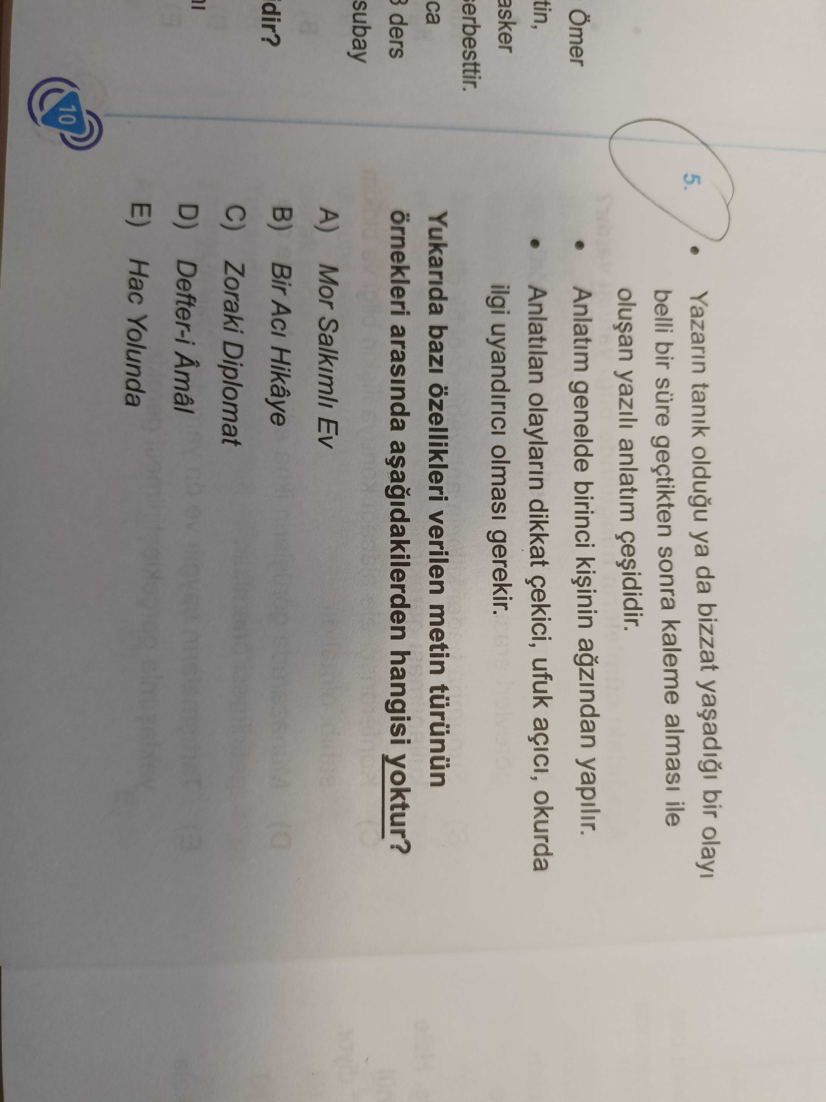 Türk Dili ve Edebiyatı  (11. Sınıf)