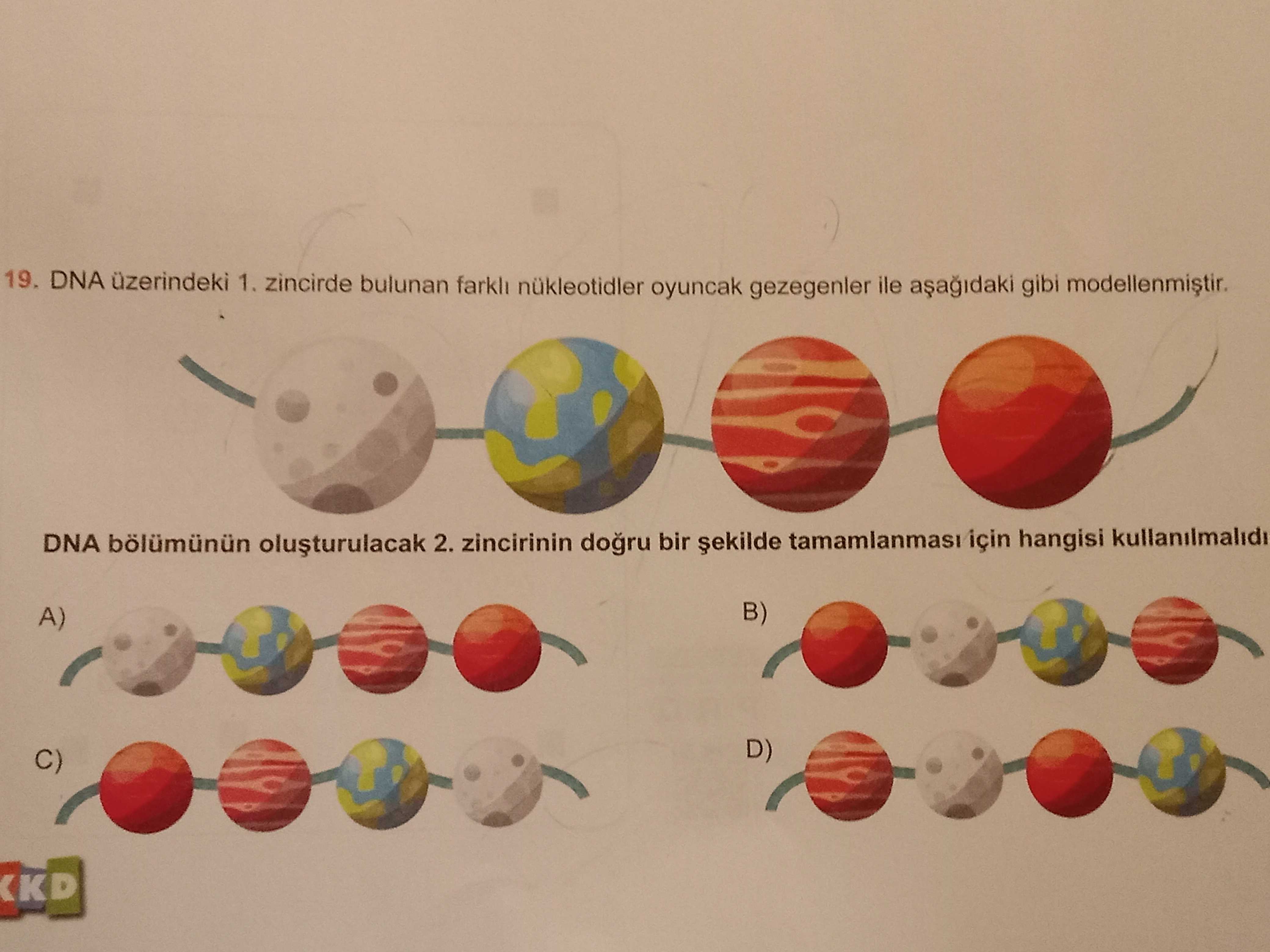 Fen Bilimleri (8. Sınıf)