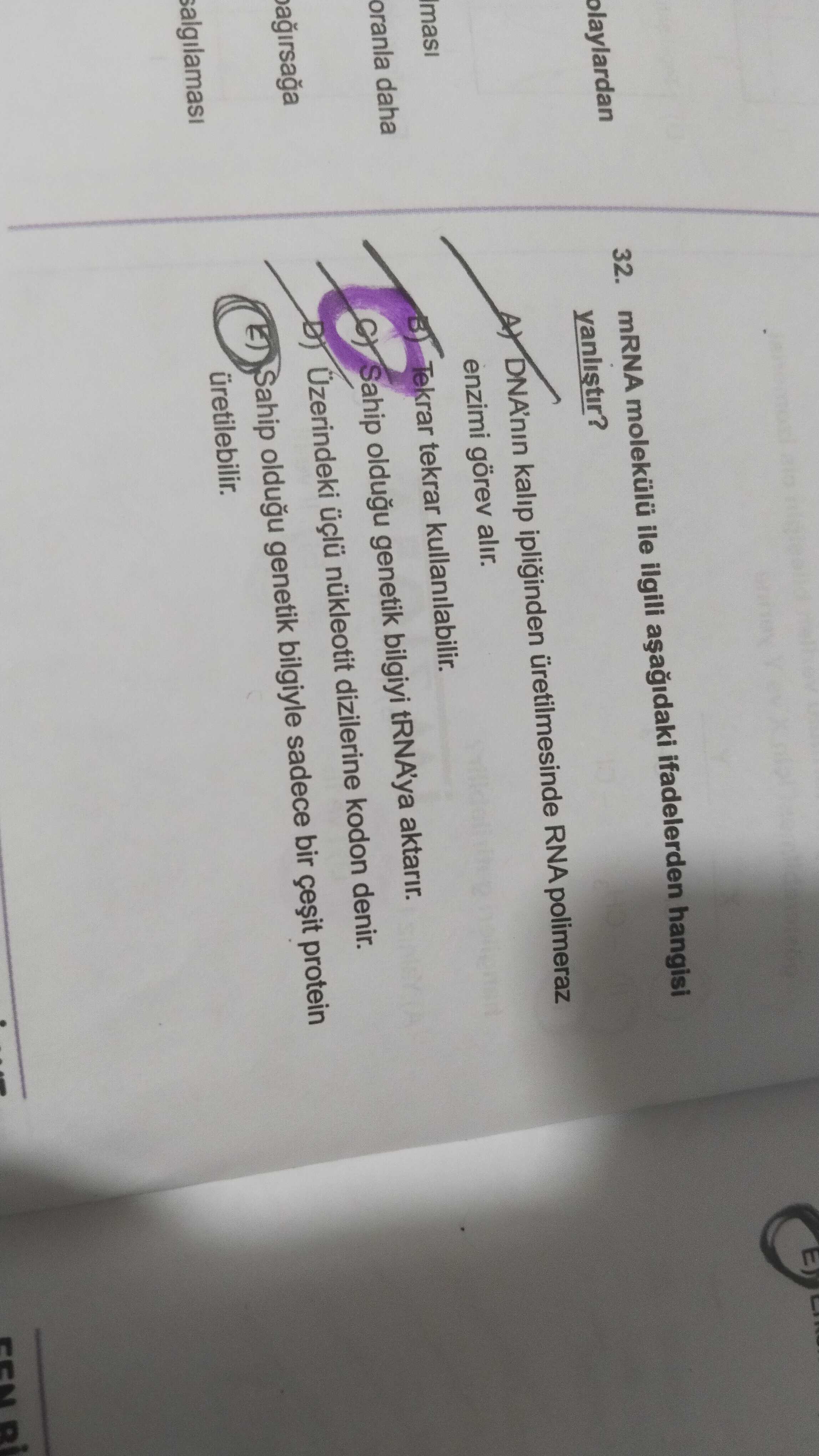 32. mRNA molekülü ile ilgili ifadelerden hangisi olaylardan DNA'nin kalip üretilmesinde RNA polimeraz enzimi görev alir. Tekrar kullanilabilir. oranla daha Sahip oldugu genetik bilgiyi tRNA'ya aktarir. Üzerindeki üçlü nükleotit dizilerine kodon denir. Sahip oldugu genetik bilgiyle sadece bir protein üretilebilir. ?? Model.Question.title