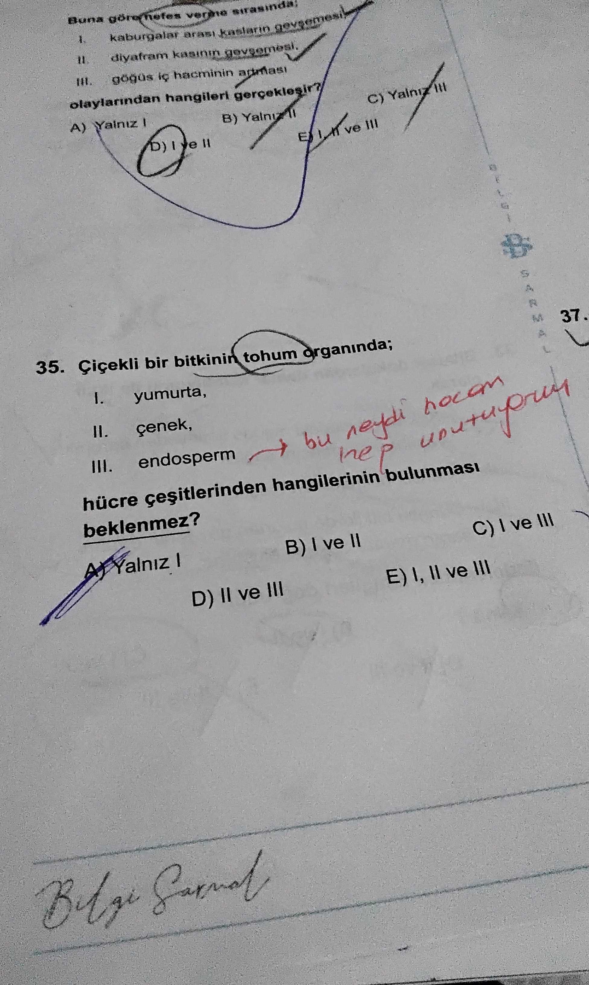 Çiçekli bir bitkinin tohum organında; I. yumurta, II. çenek, III. endosperm hücre çeşitlerinden