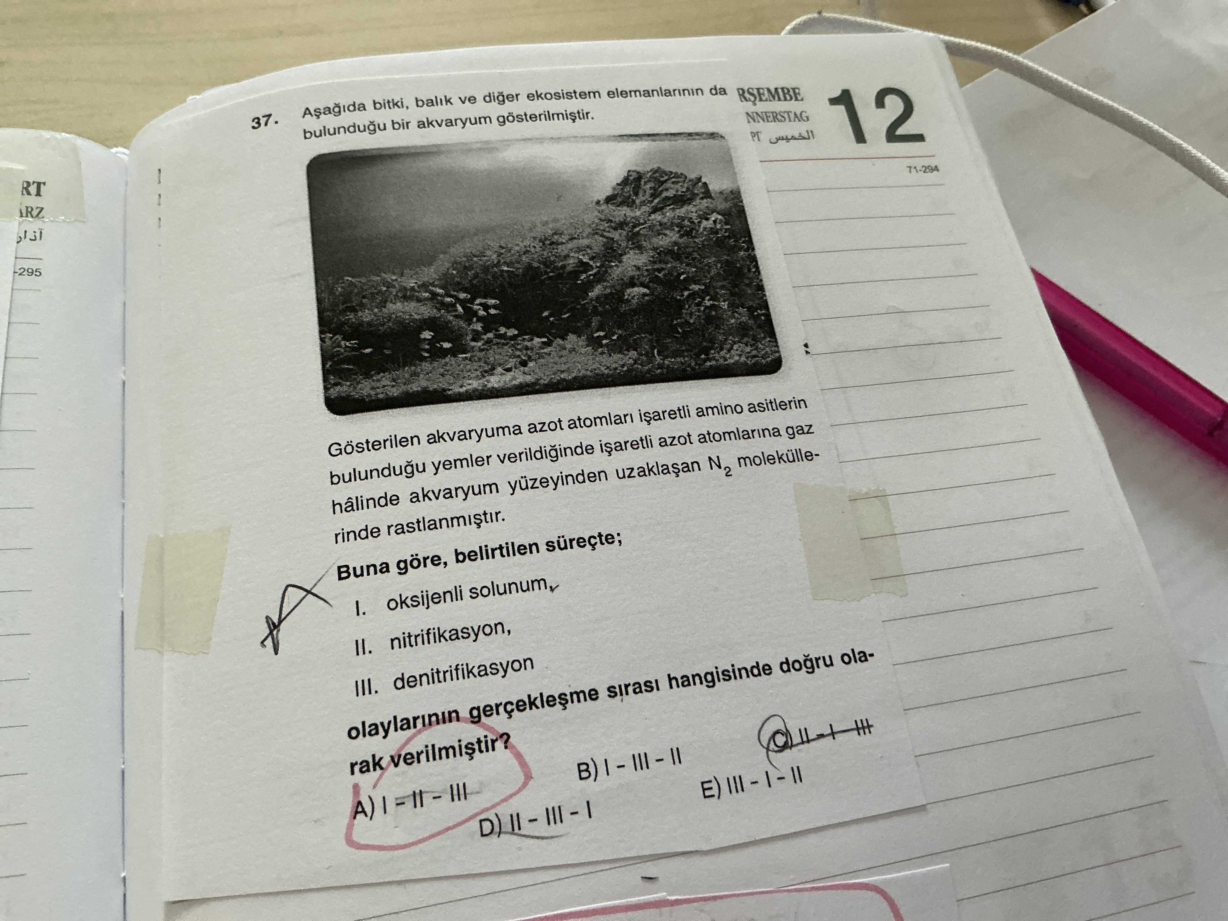 Aşağıda bitki, balık ve diğer ekosistem elemanlarının da bulunduğu bir akvaryum gösterilmiştir