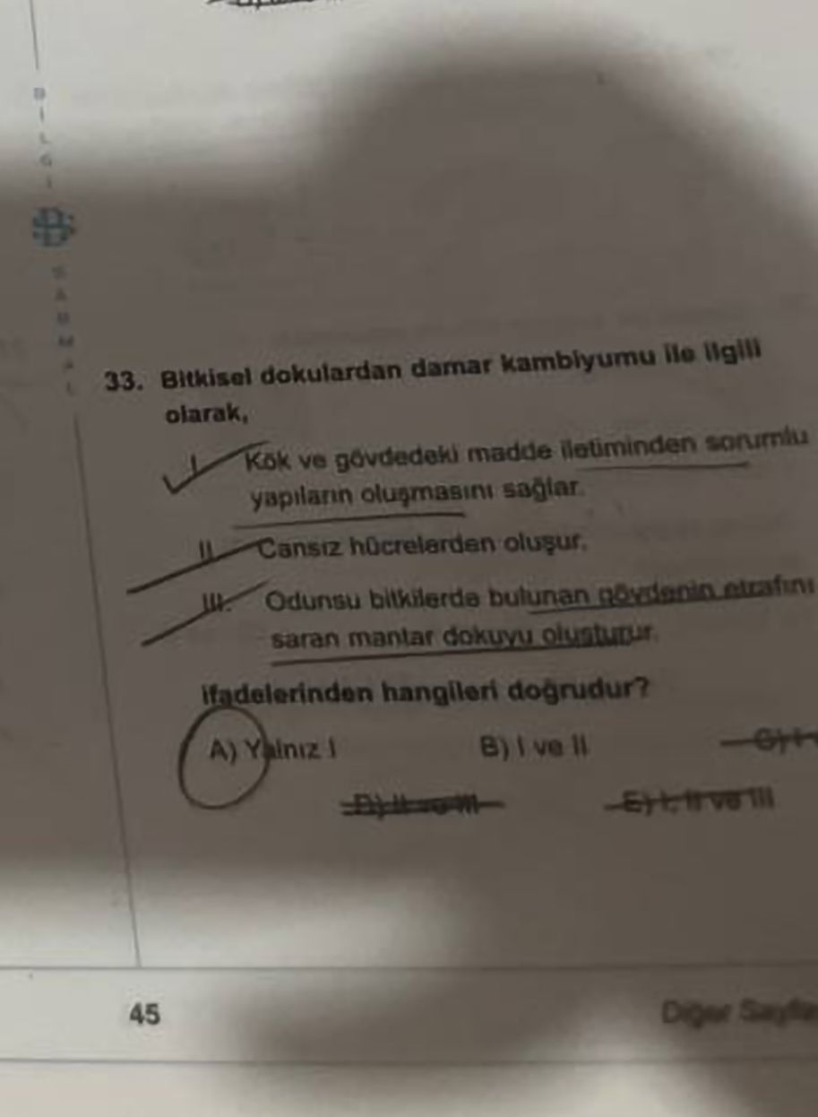 Bitkisel dokulardan damar kambiyumu ile ilgili olarak, I. Kök ve gövdedeki madde iletiminden sorumlu