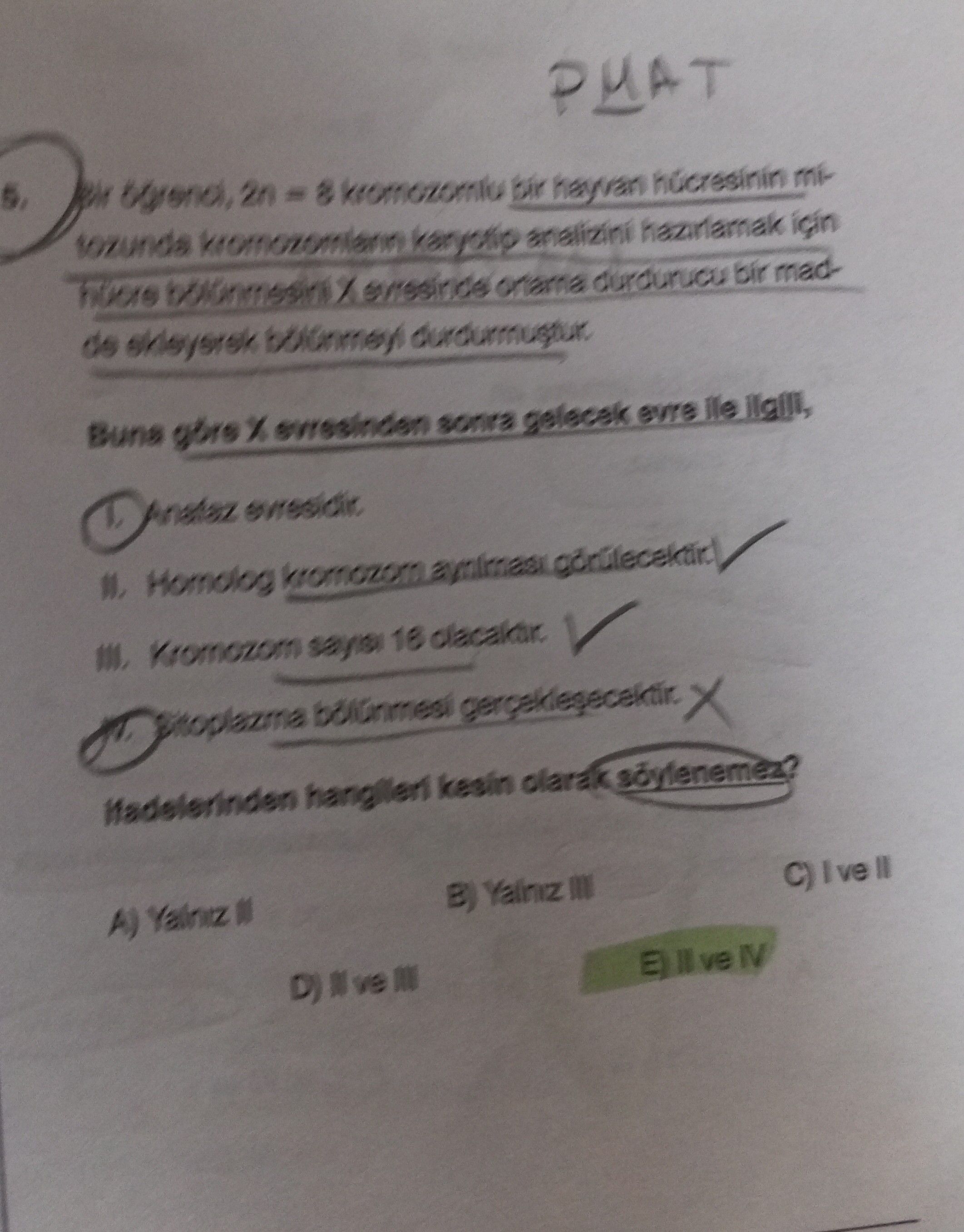 Bir öğrenci, 2n = 8 kromozomlu bir hayvan hücresinin mitozunda kromozomların karyotip analizini