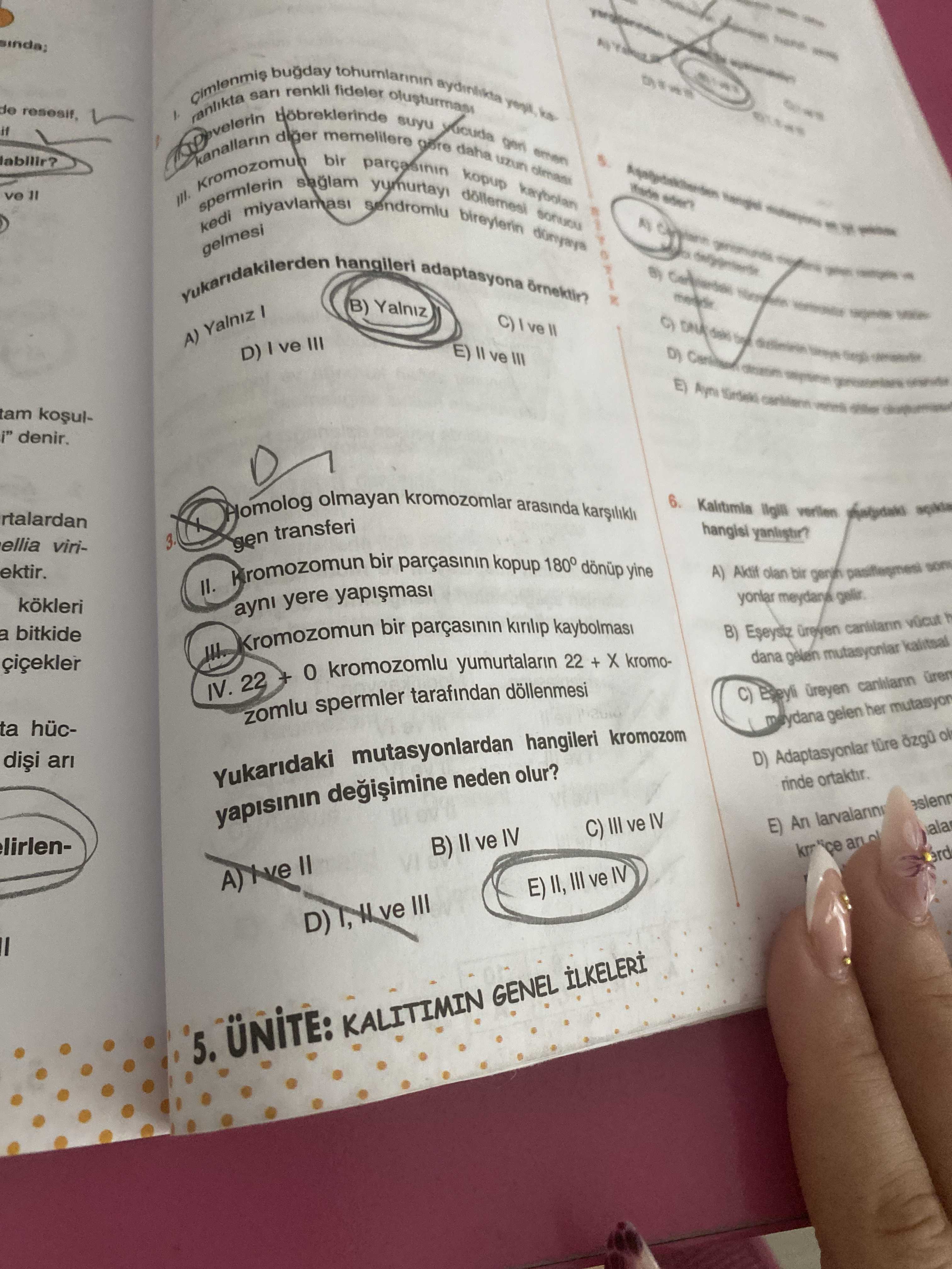 I. Homolog olmayan kromozomlar arasında karşılıklı gen transferi II. Kromozomun bir parçasının kopup