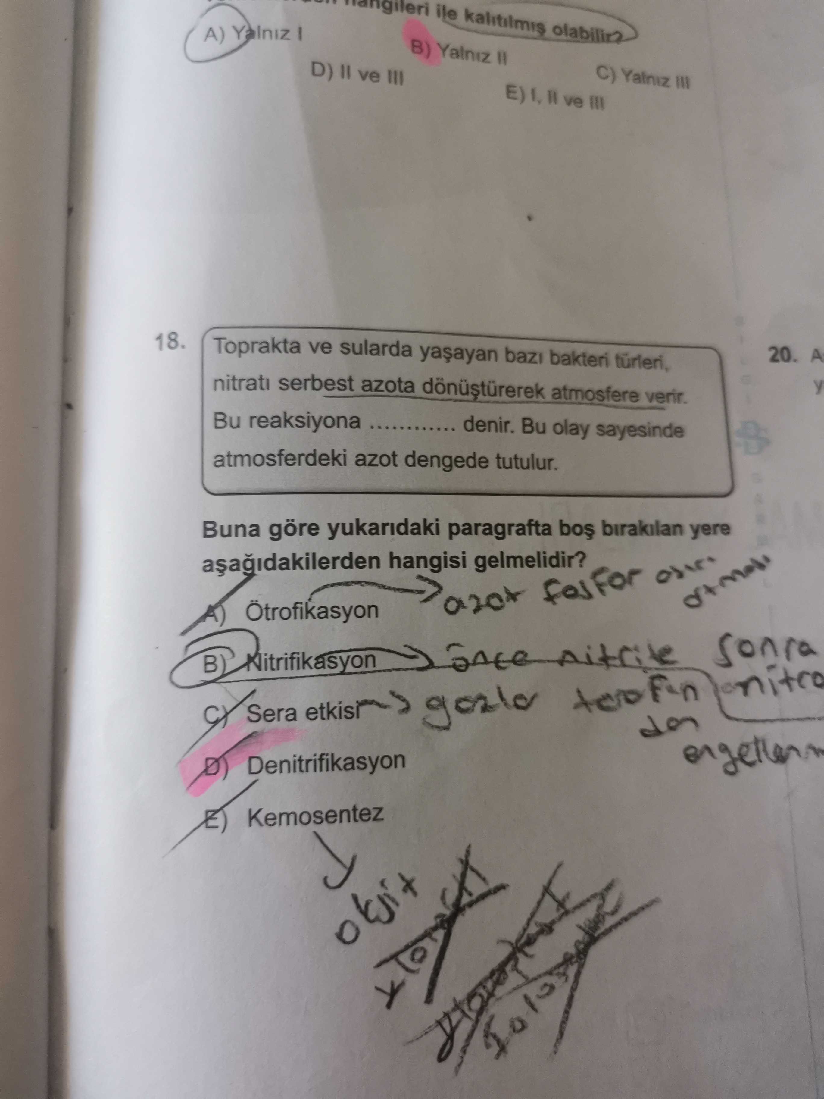 Toprakta ve sularda yaşayan bazı bakteri türleri, nitratı serbest azota dönüştürerek atmosfere