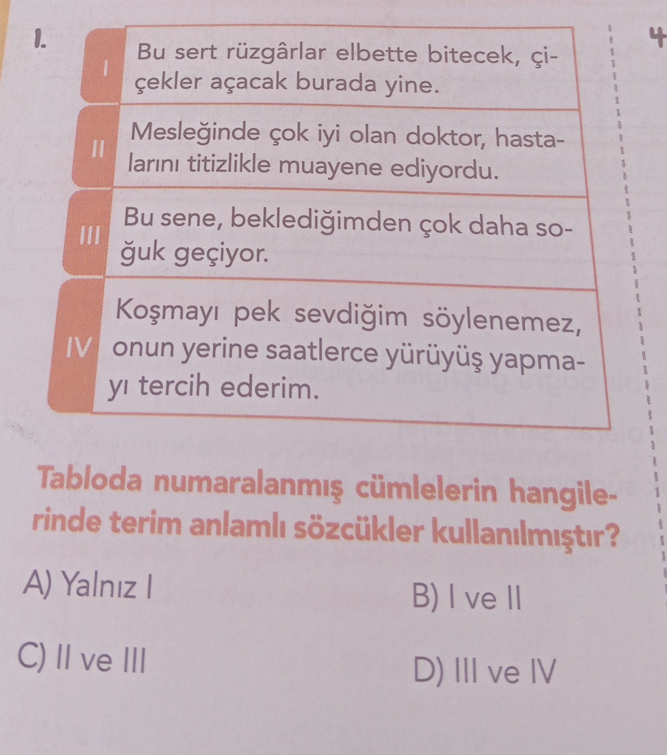 I. Bu sert rüzgârlar elbette bitecek, çiçekler açacak burada yine. II. Mesleğinde çok iyi olan