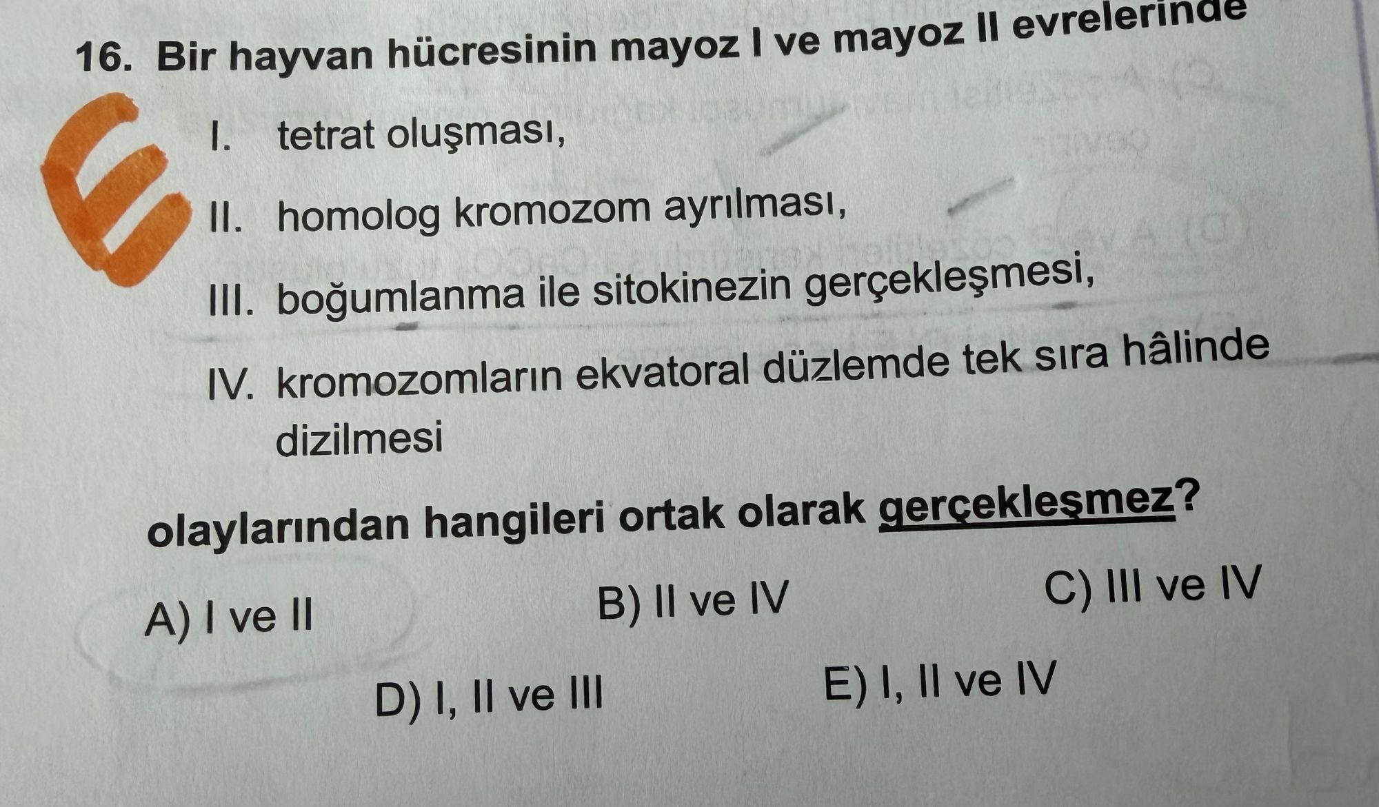 Bir hayvan hücresinin mayoz I ve mayoz II evrelerinde I. tetrat oluşması, II. homolog kromozom