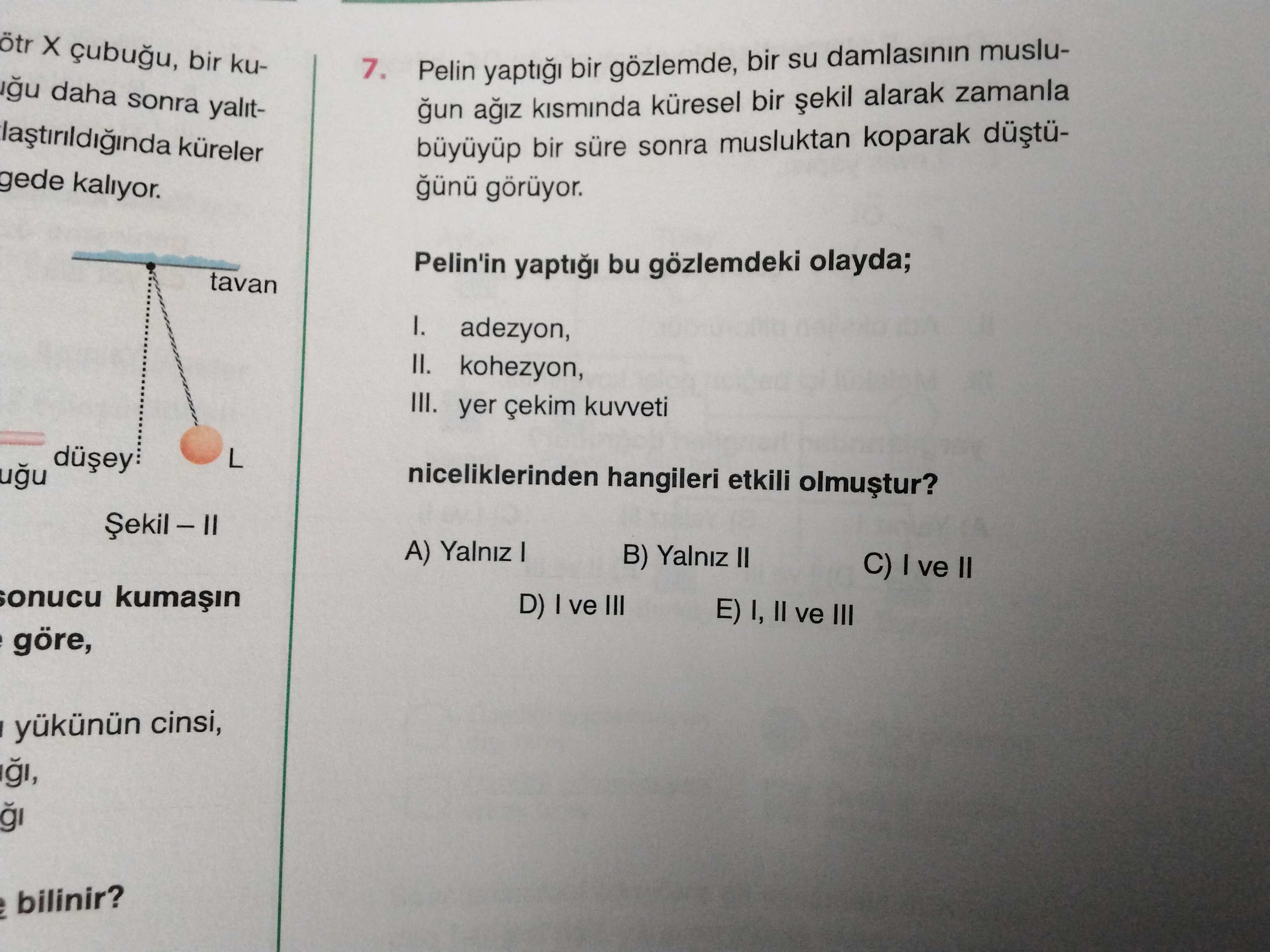 Fizik (11. Sınıf)
