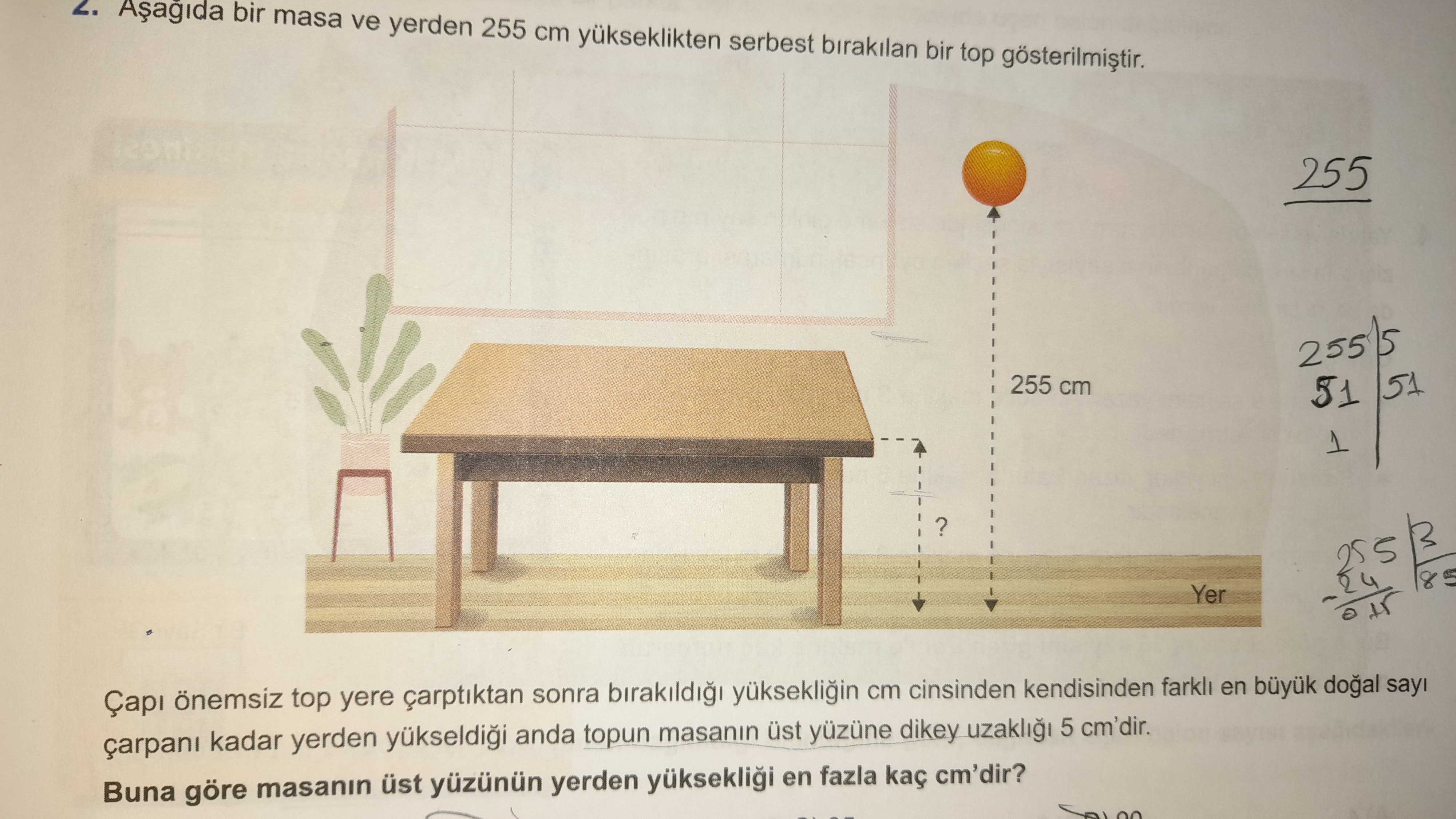 Matematik (8. Sınıf)