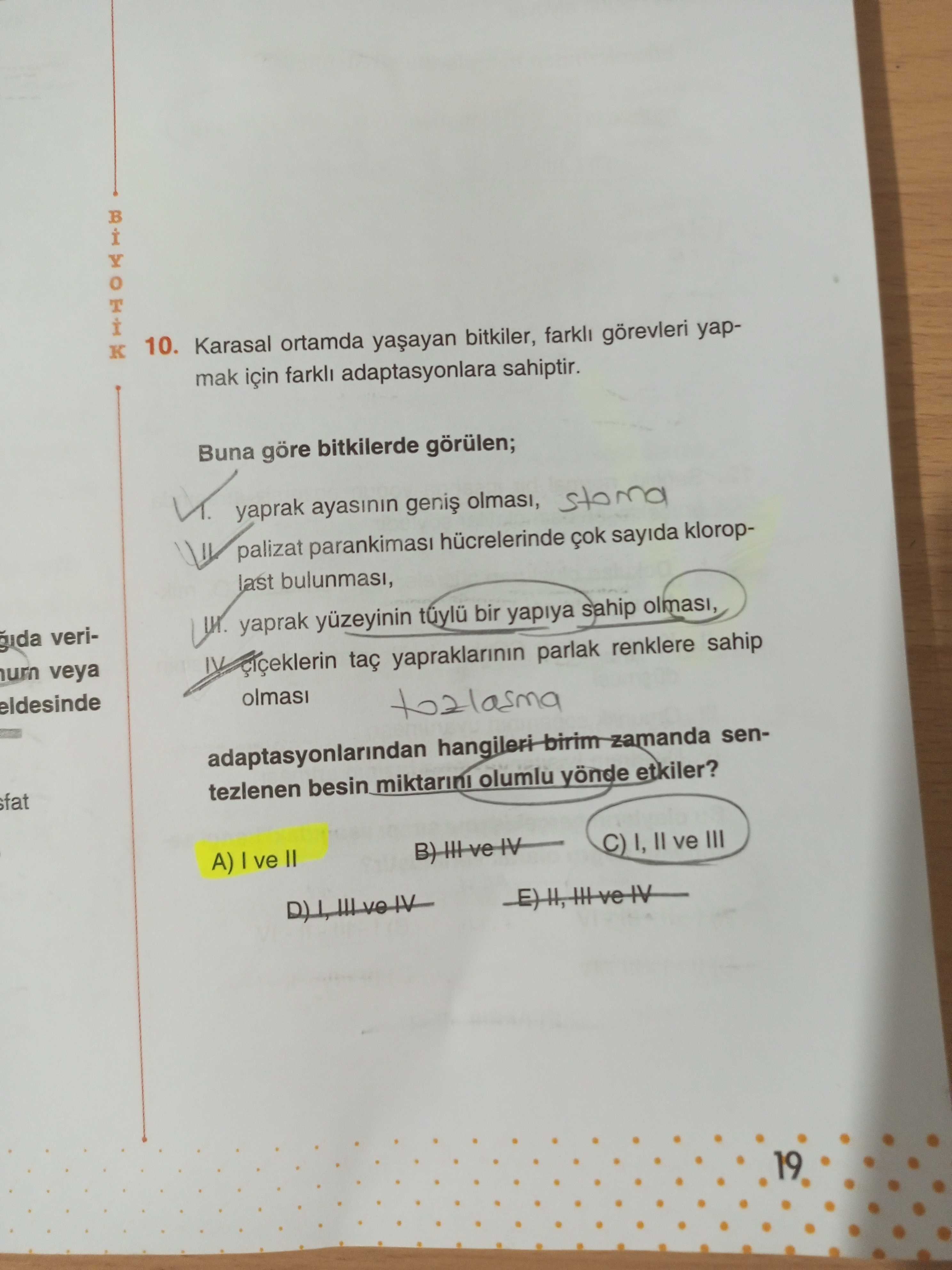 Karasal ortamda yaşayan bitkiler, farklı görevleri yapmak için farklı adaptasyonlara sahiptir. Buna