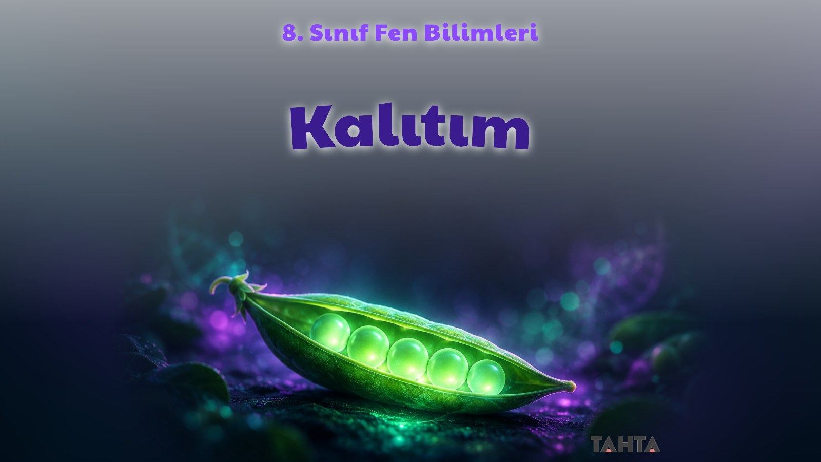 8. sınıf fen bilimleri kalıtım konu anlatımı kapağı: karanlık zeminde ışıklı bezelye kabuğu