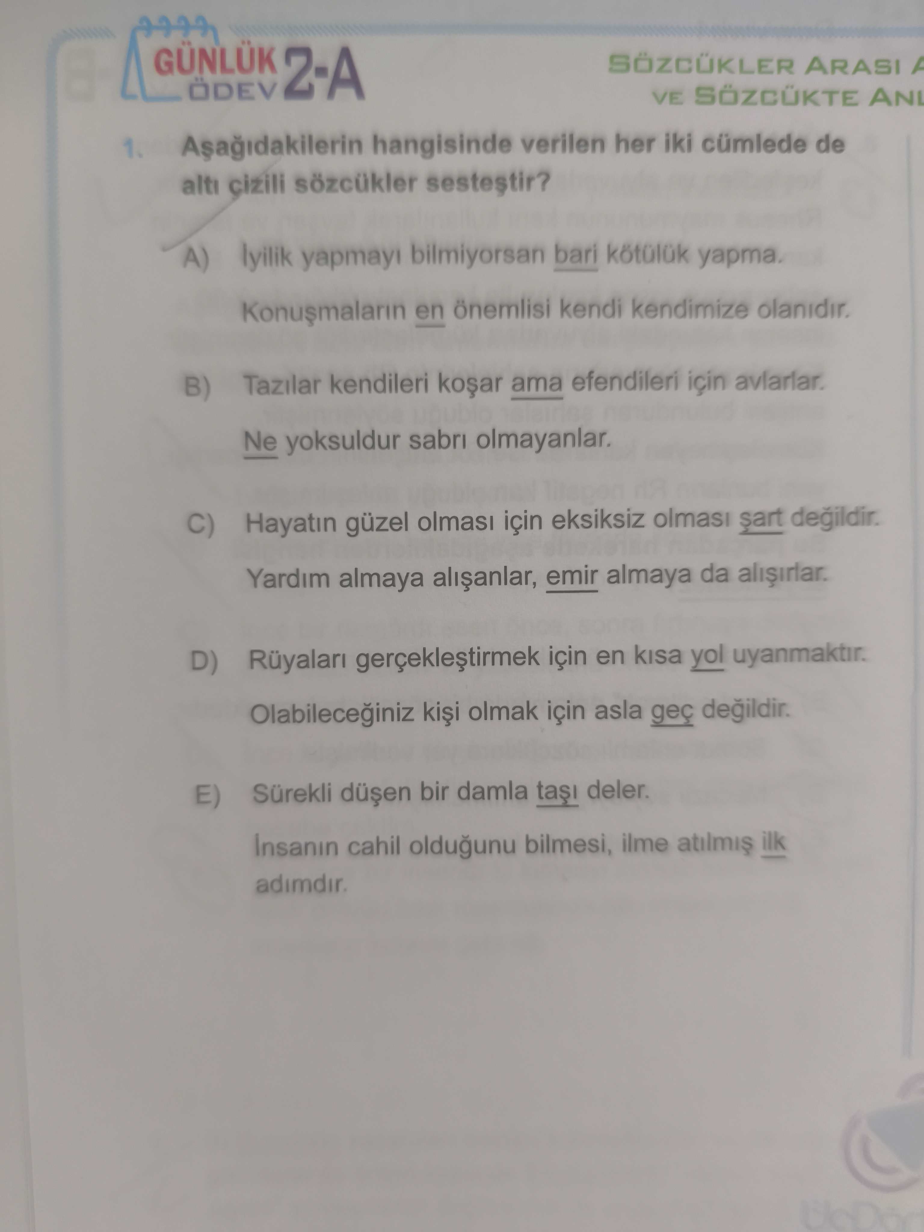 Aşağıdakilerin hangisinde verilen her iki cümlede de altı çizili sözcükler sesteştir?