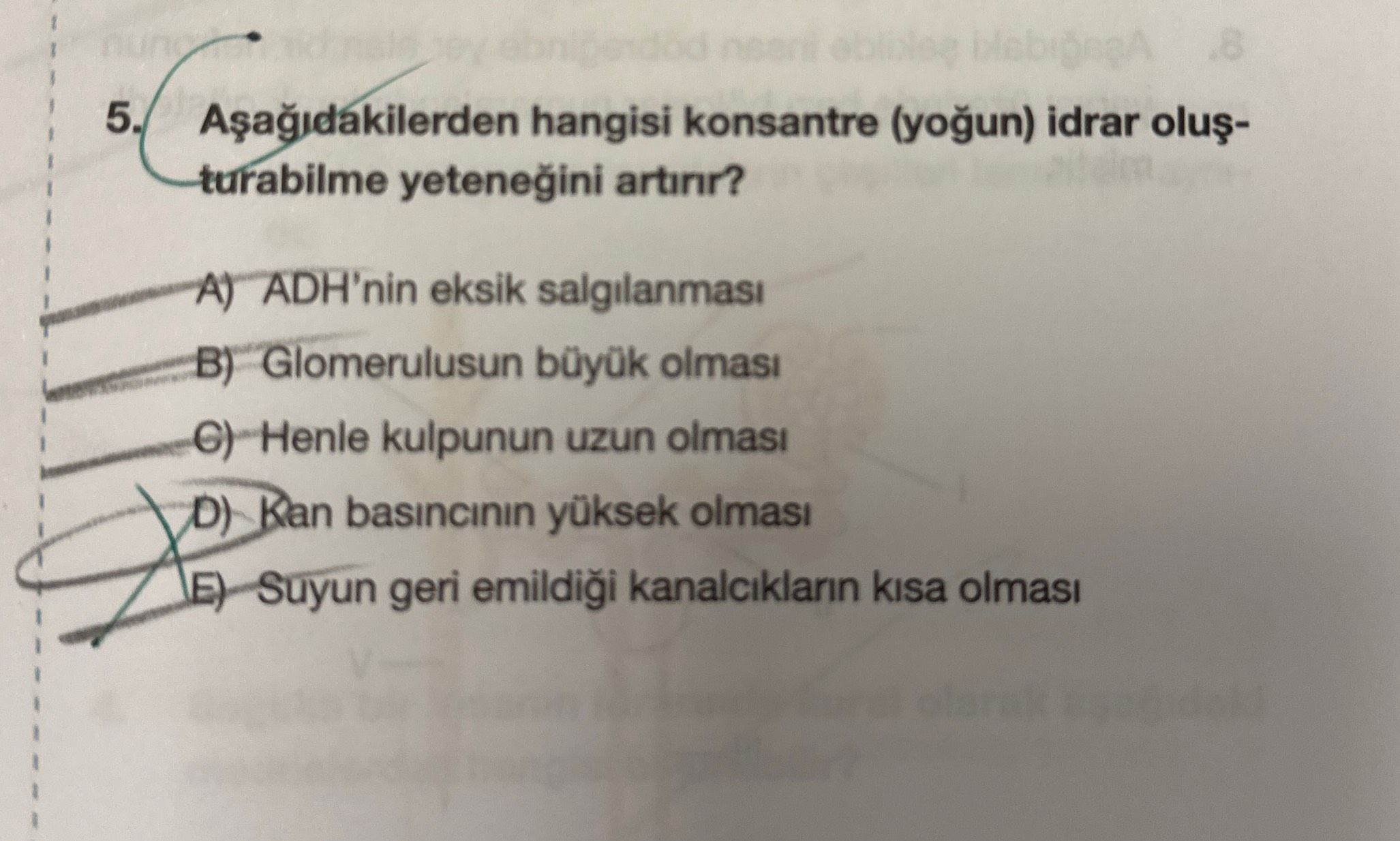 Aşağıdakilerden hangisi konsantre (yoğun) idrar oluşturabilme yeteneğini artırır?