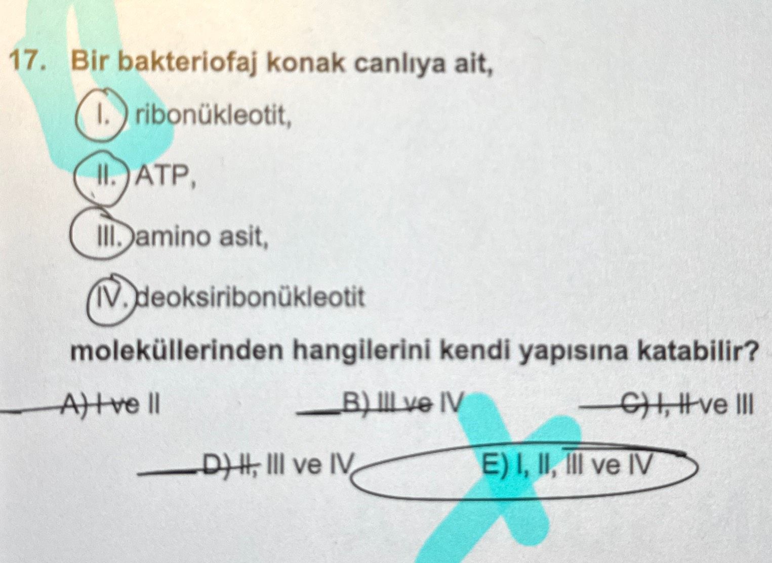 Bir bakteriofaj konak canlıya ait, I. ribonükleotit, II. ATP, III. amino asit, IV