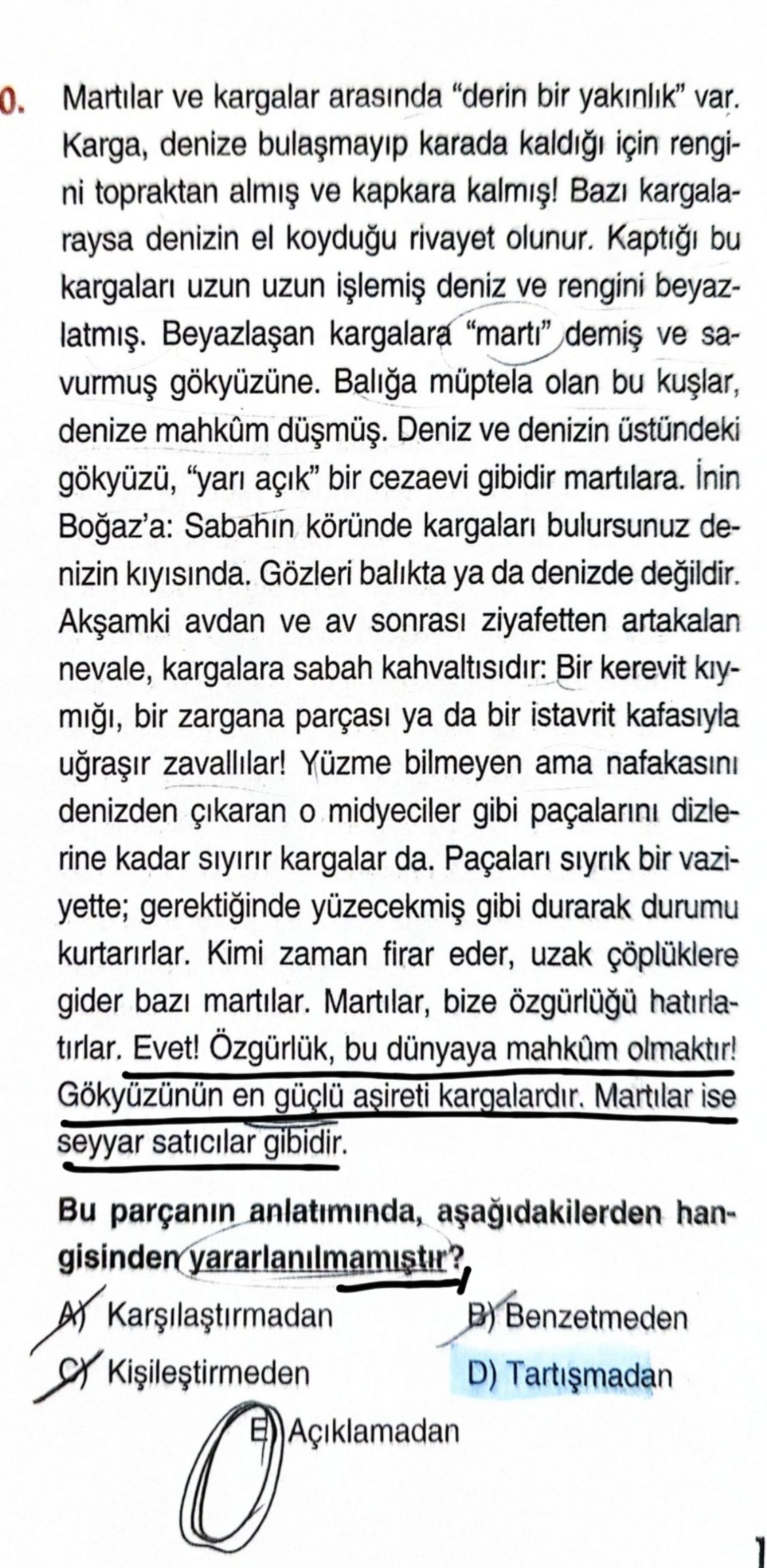 Martılar ve kargalar arasında "derin bir yakınlık" var. Karga, denize bulaşmayıp karada kaldığı için