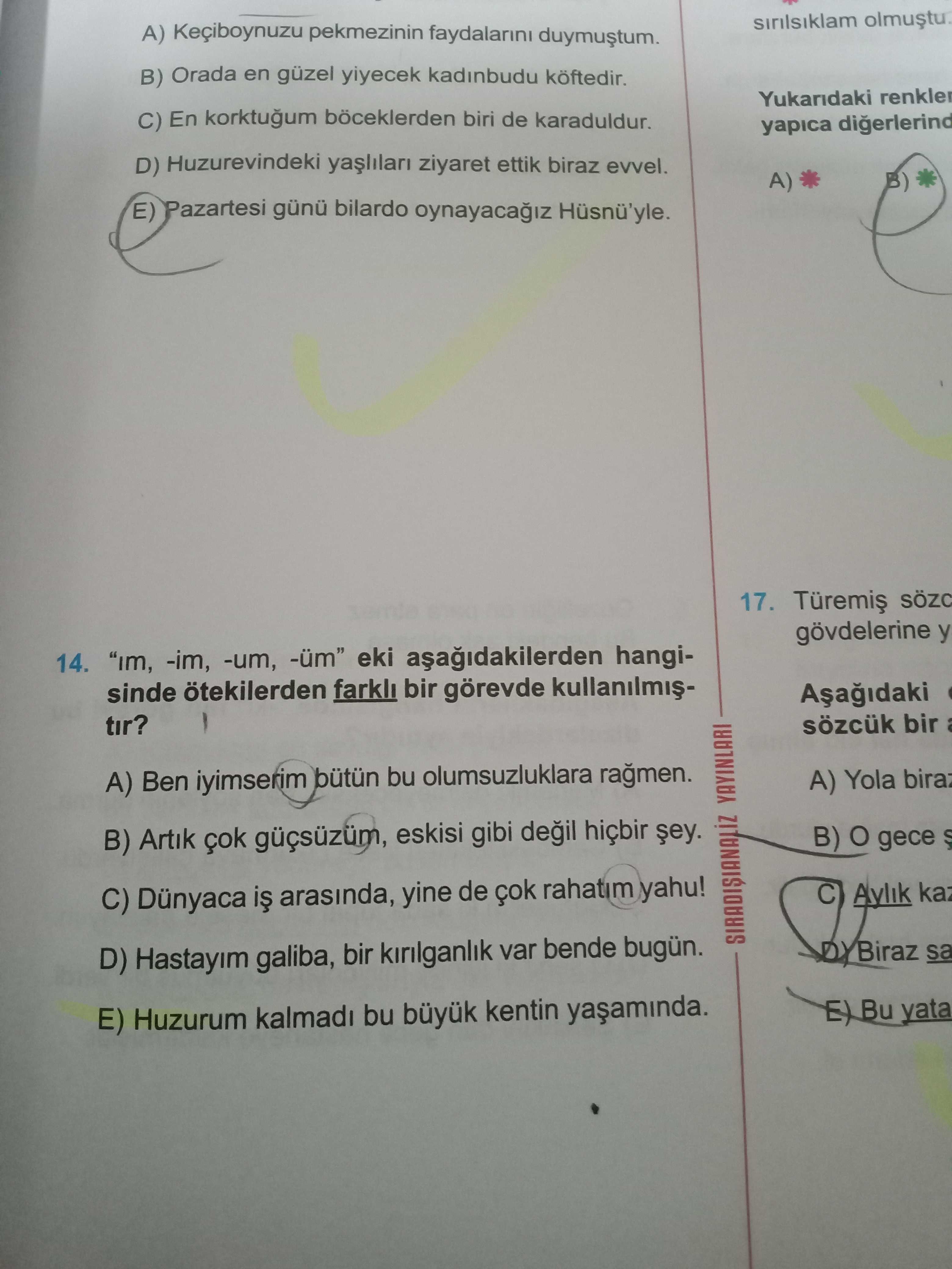 Türkçe (12. Sınıf)
