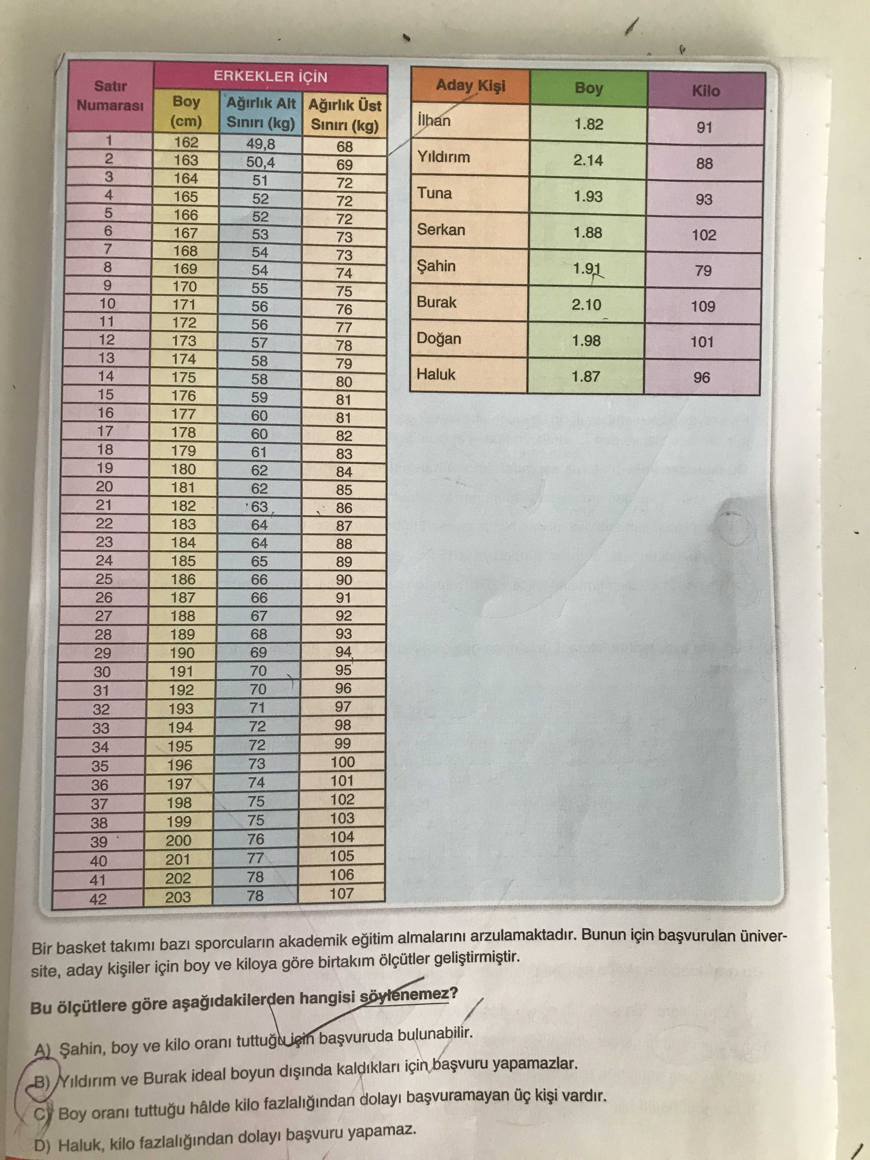 Türkçe (8. Sınıf)