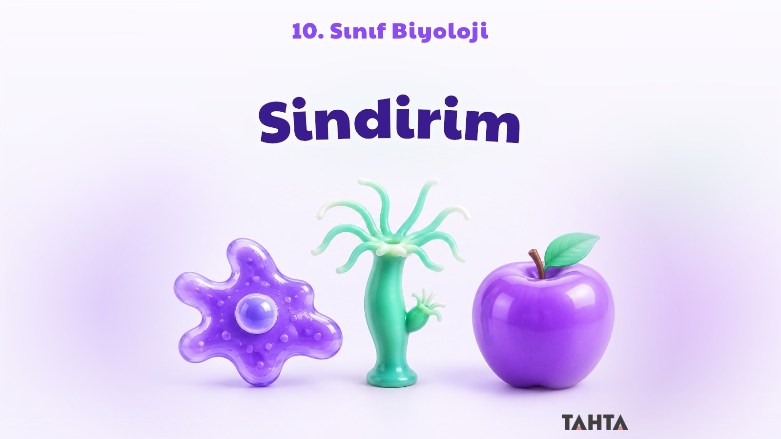 10. sınıf biyoloji sindirim konusu için hücre, hidra ve elma figürlerinden oluşan kapak görseli