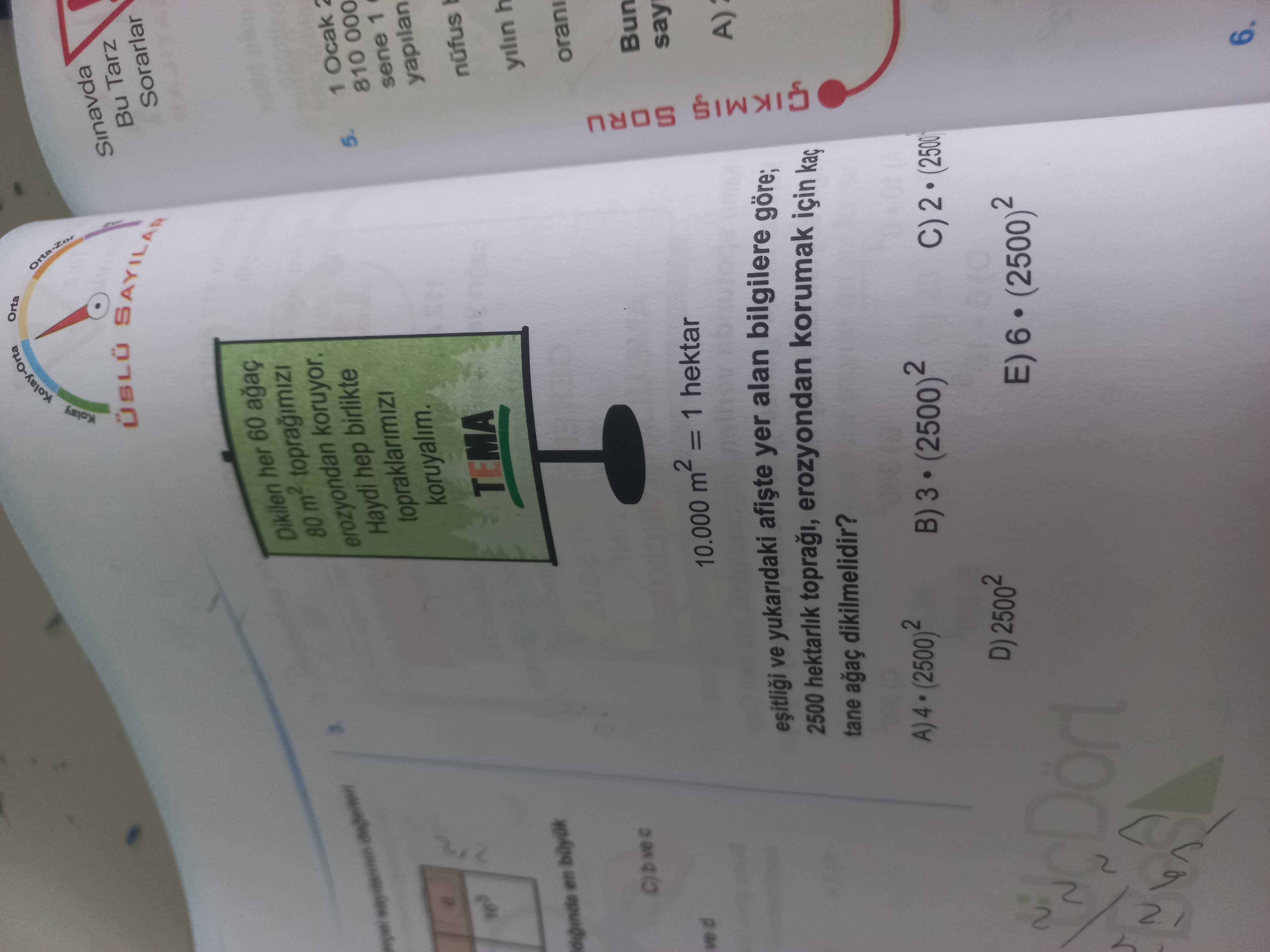 Matematik (11. Sınıf)