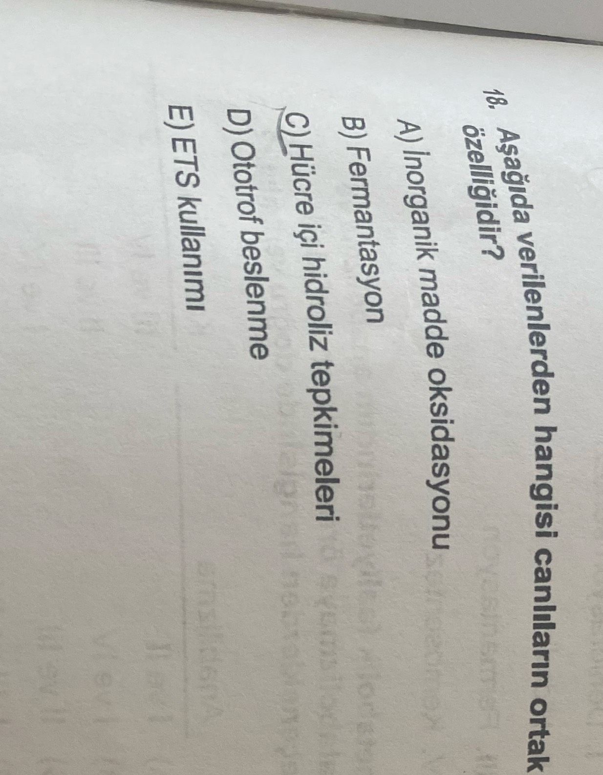 Biyoloji (12. Sınıf)