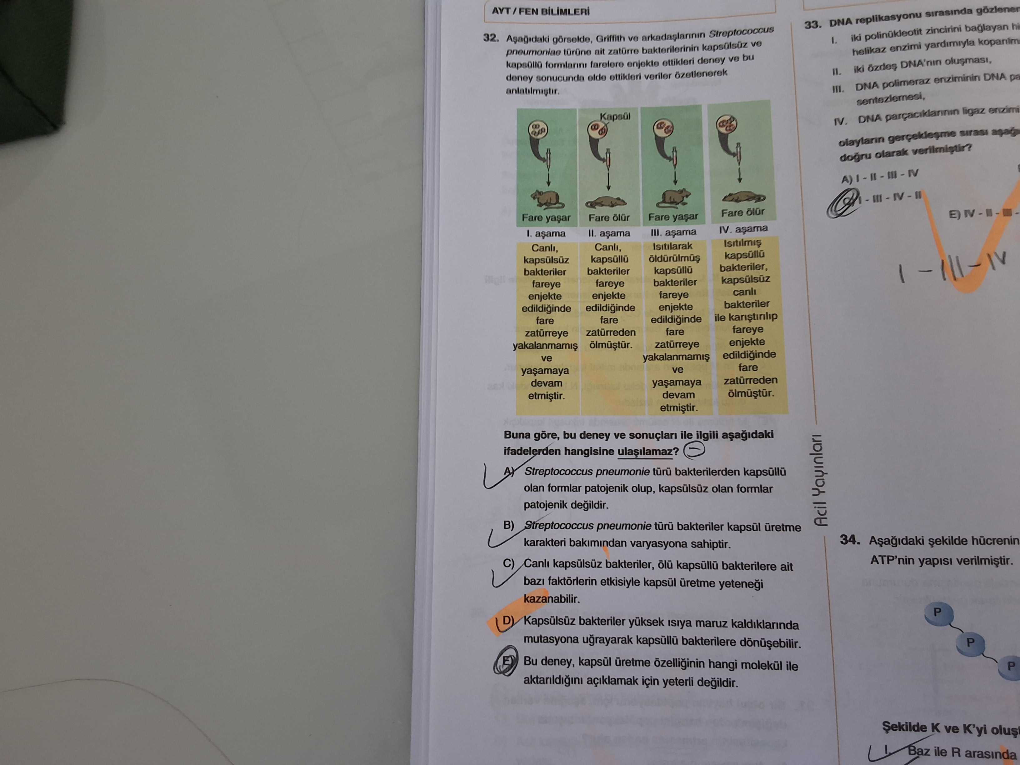 Aşağıdaki görselde, Griffith ve arkadaşlarının Streptococcus pneumoniae türüne ait zatürre
