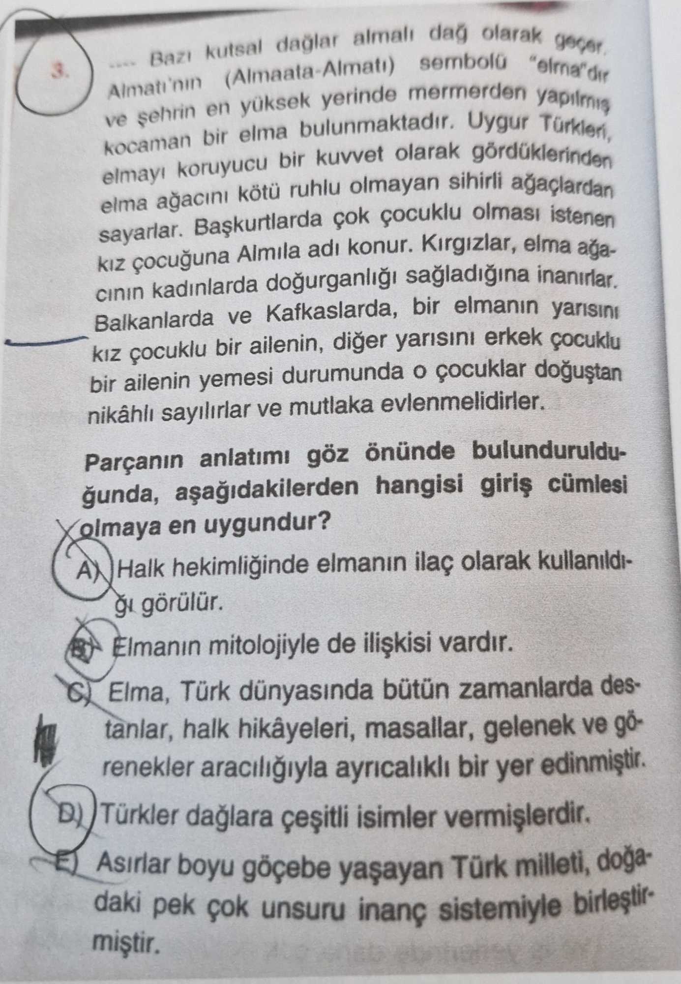 .... Bazı kutsal dağlar almalı dağ olarak geçer. Almatı'nın (Almaata-Almatı) sembolü "elma"dır ve