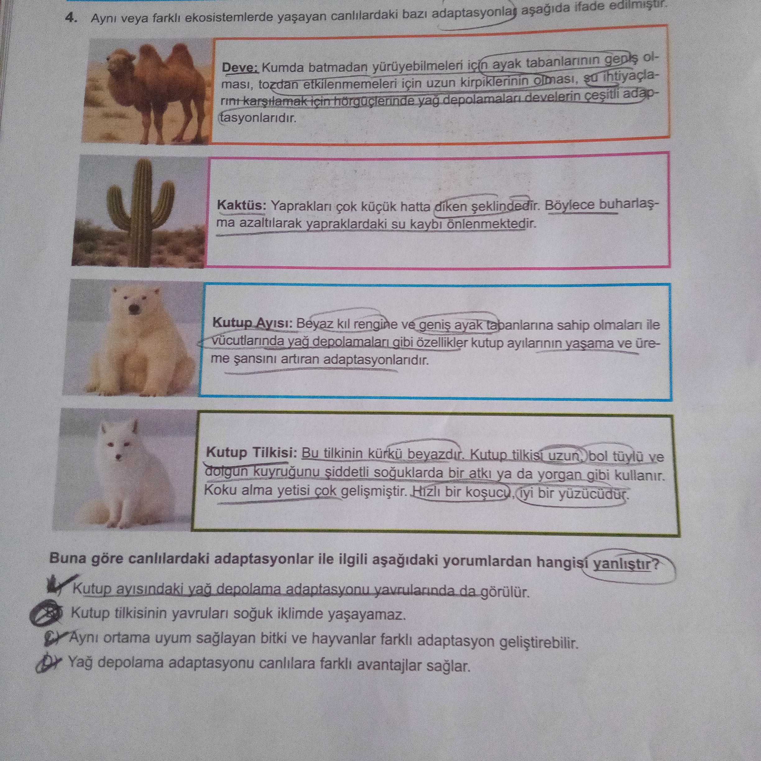 Aynı veya farklı ekosistemlerde yaşayan canlılardaki bazı adaptasyonlar aşağıda ifade edilmiştir