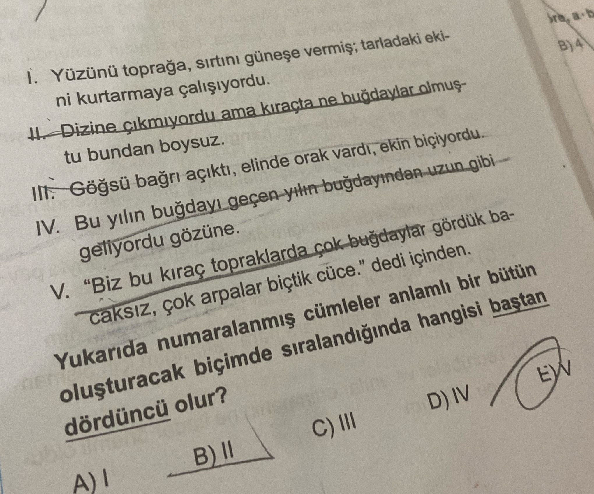 Türkçe (12. Sınıf)