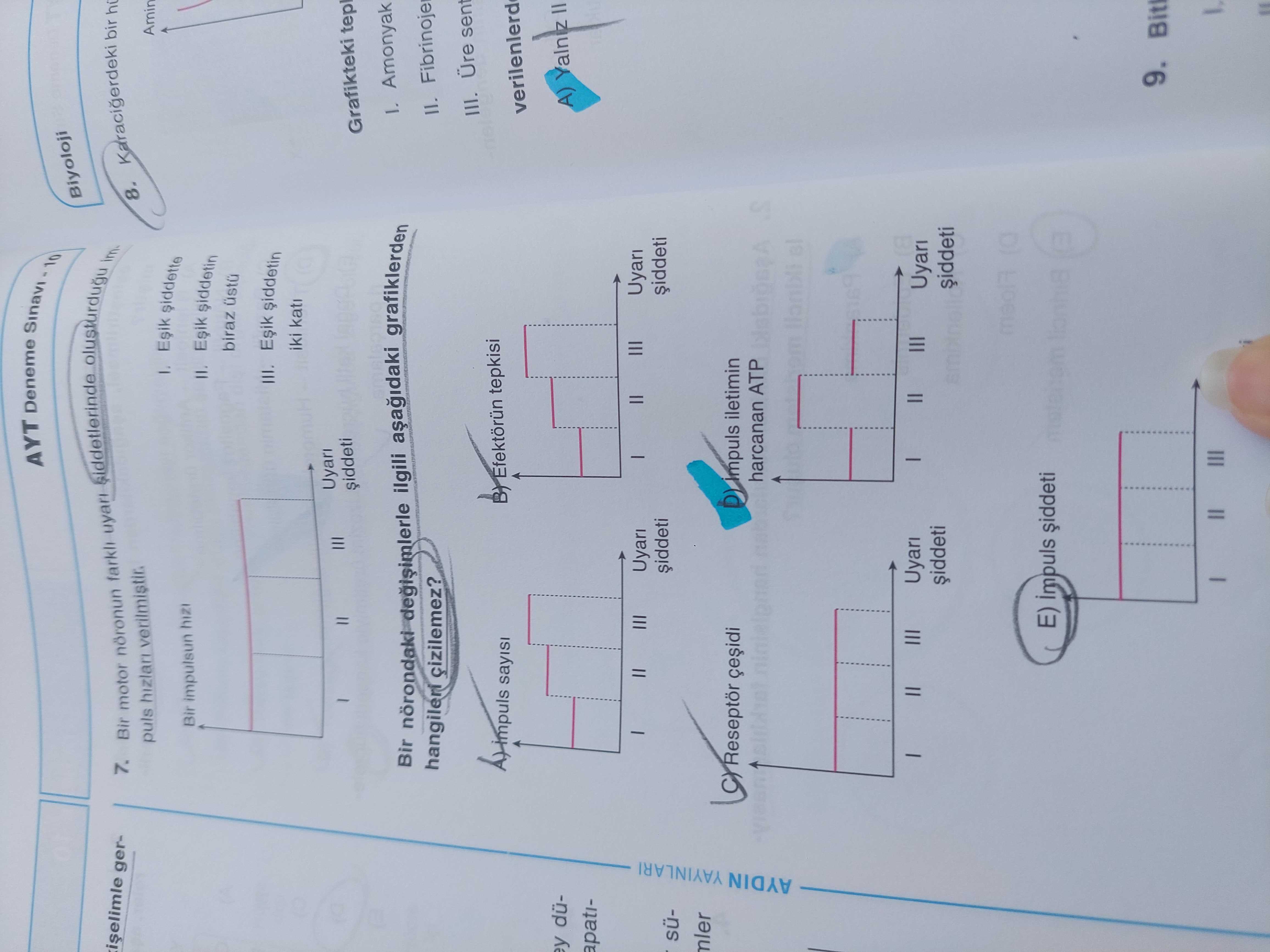 Bir motor nöronun farklı uyarı şiddetlerinde oluşturduğu impuls hızları verilmiştir. I. Eşik