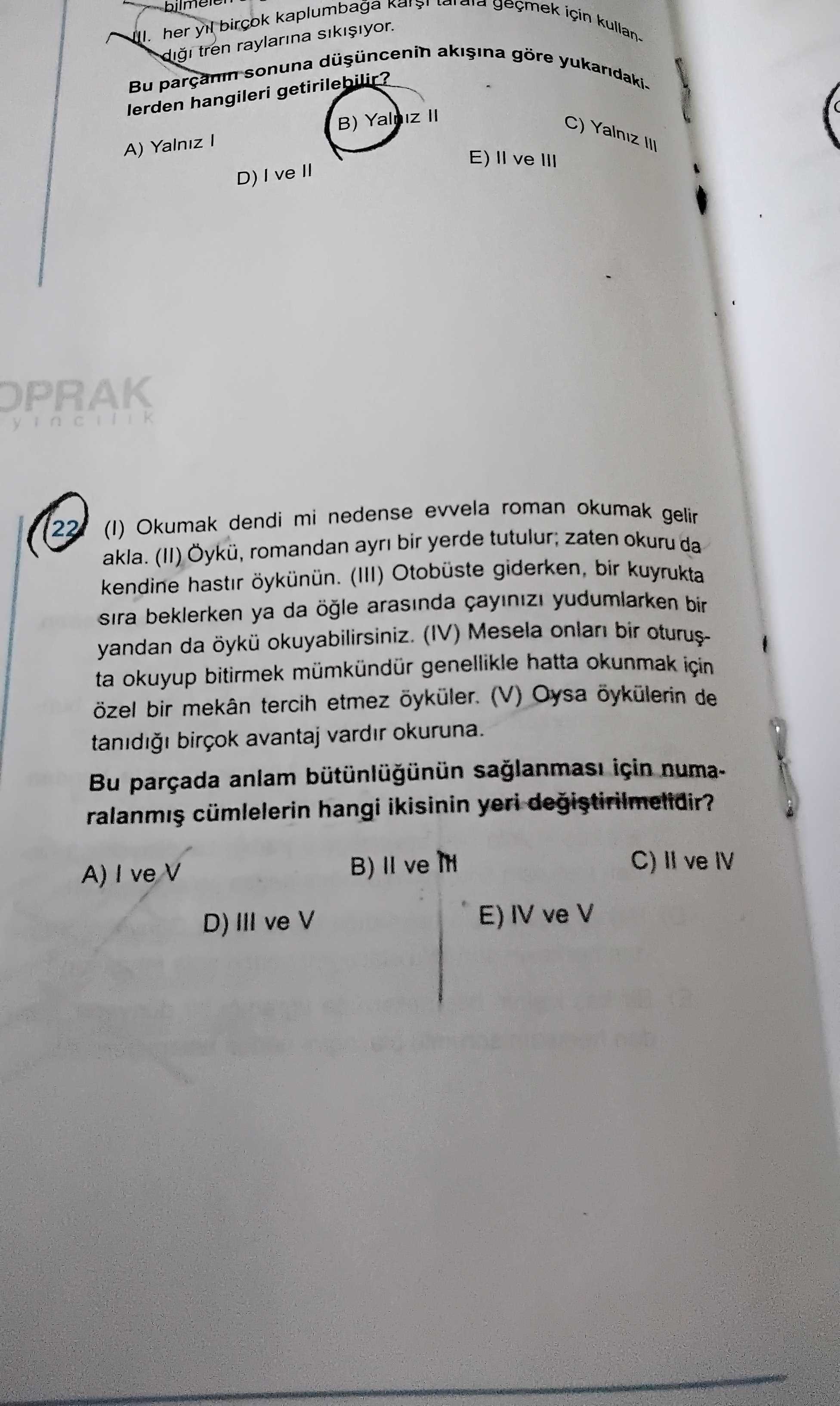 Türkçe (12. Sınıf)