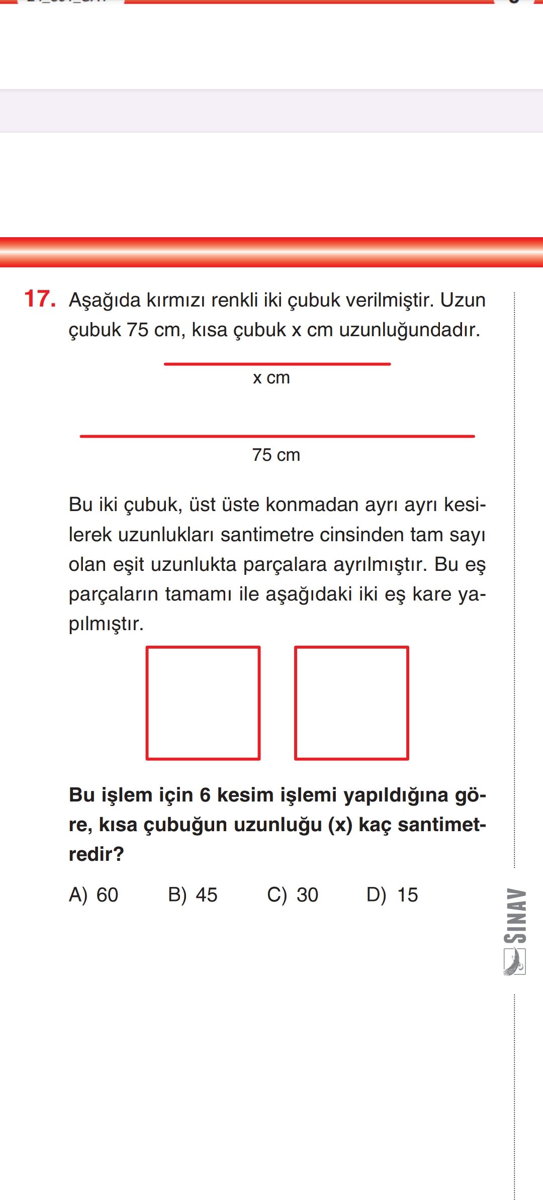 Matematik (8. Sınıf)