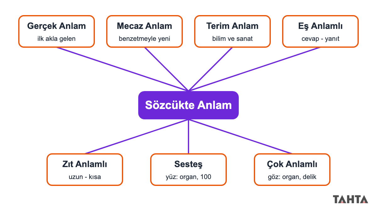 Sözcükte anlamın yedi başlığını gösteren kavram haritası: gerçek, mecaz, terim, eş, zıt, sesteş, çok anlamlı