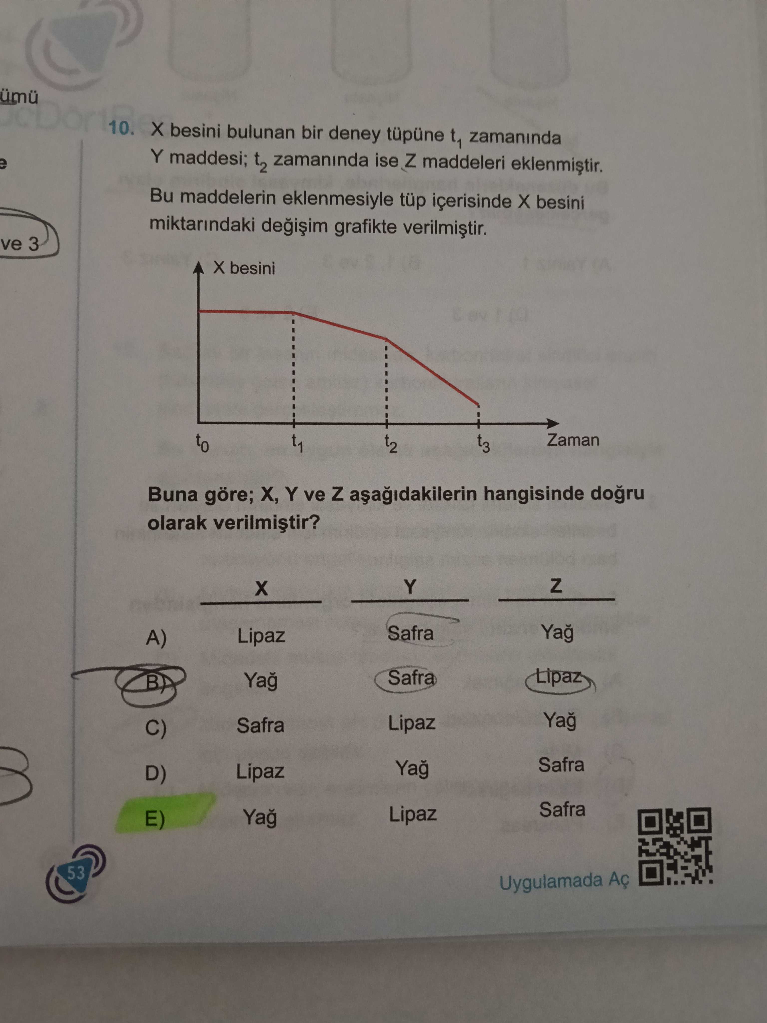 X besini bulunan bir deney tüpüne t₁ zamanında Y maddesi; t₂ zamanında ise Z maddeleri eklenmiştir