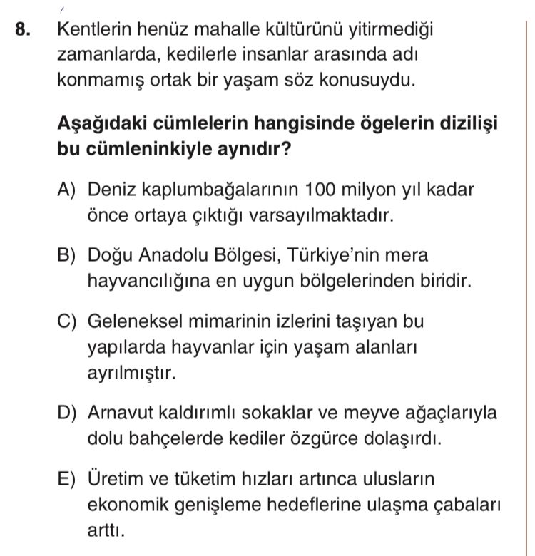 Kentlerin henüz mahalle kültürünü yitirmediği zamanlarda, kedilerle insanlar arasında adı konmamış