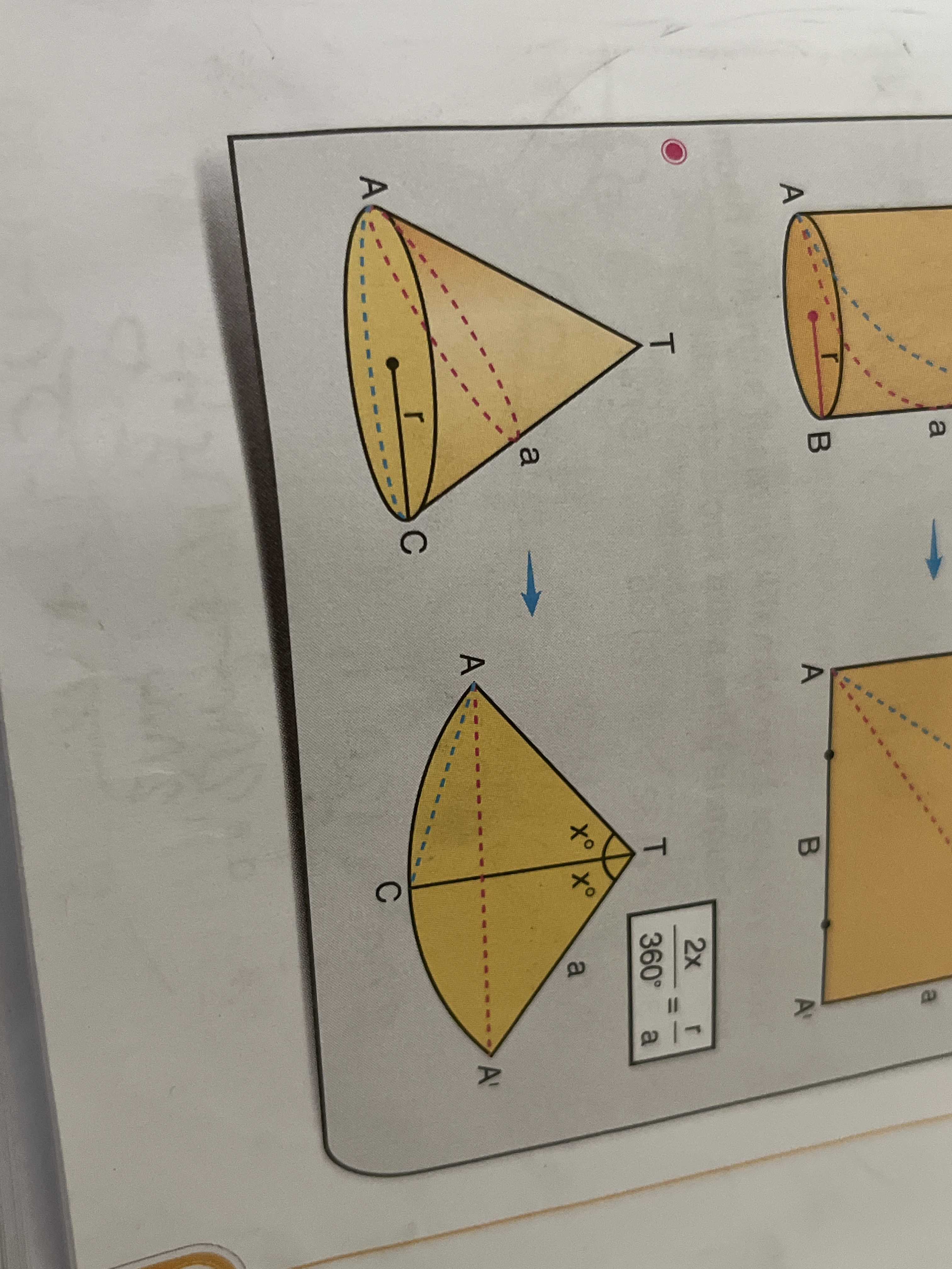 Koninin yanal yüzeyinin açılımında: 2x/360° = r/a