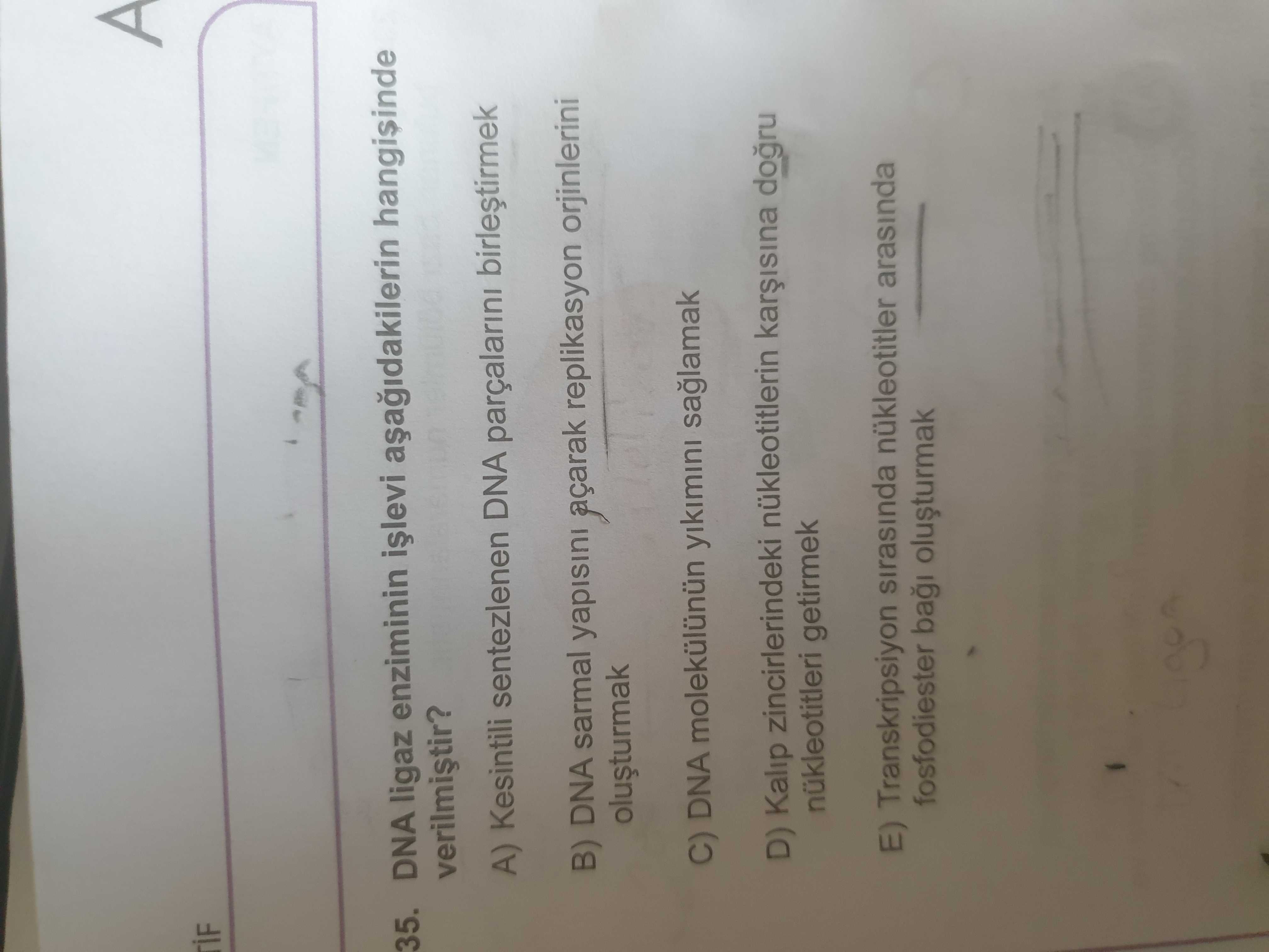 DNA ligaz enziminin işlevi aşağıdakilerín hangisinde verilmiştir?