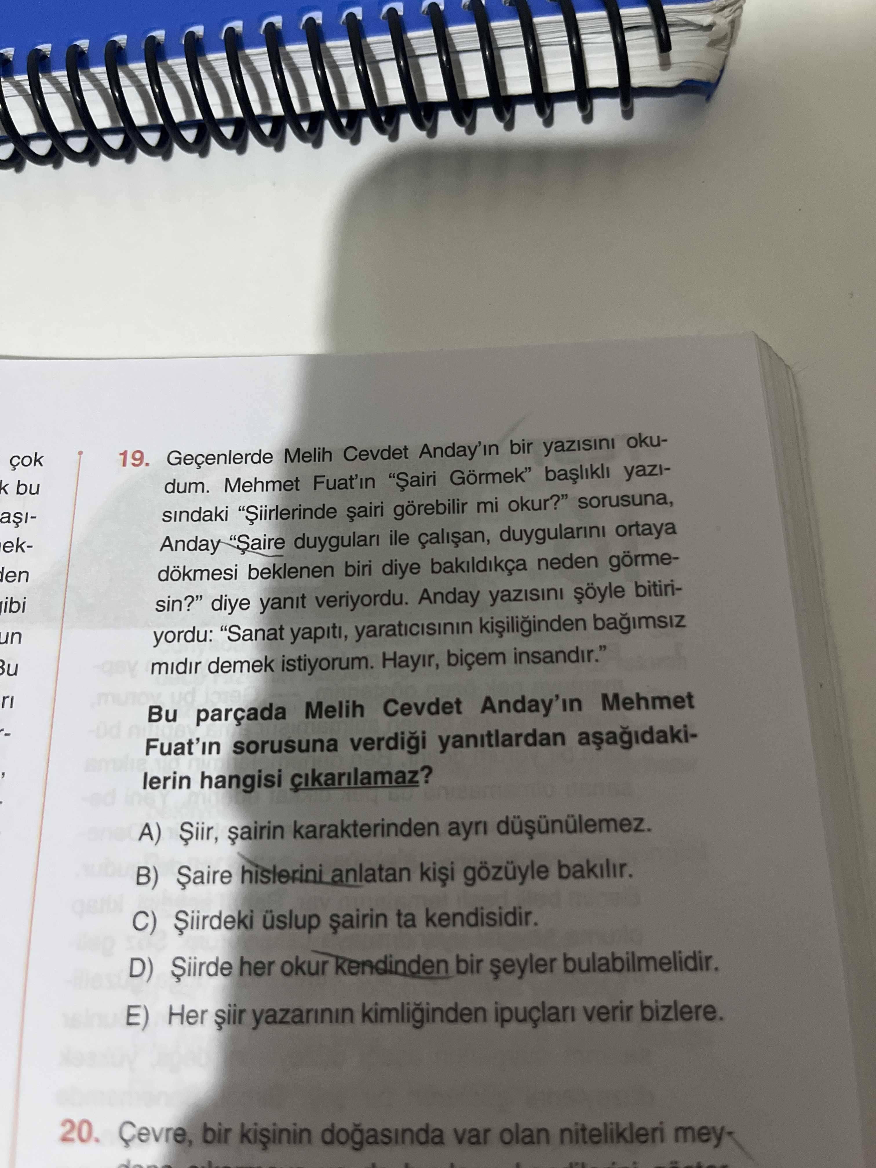 Türkçe (12. Sınıf)