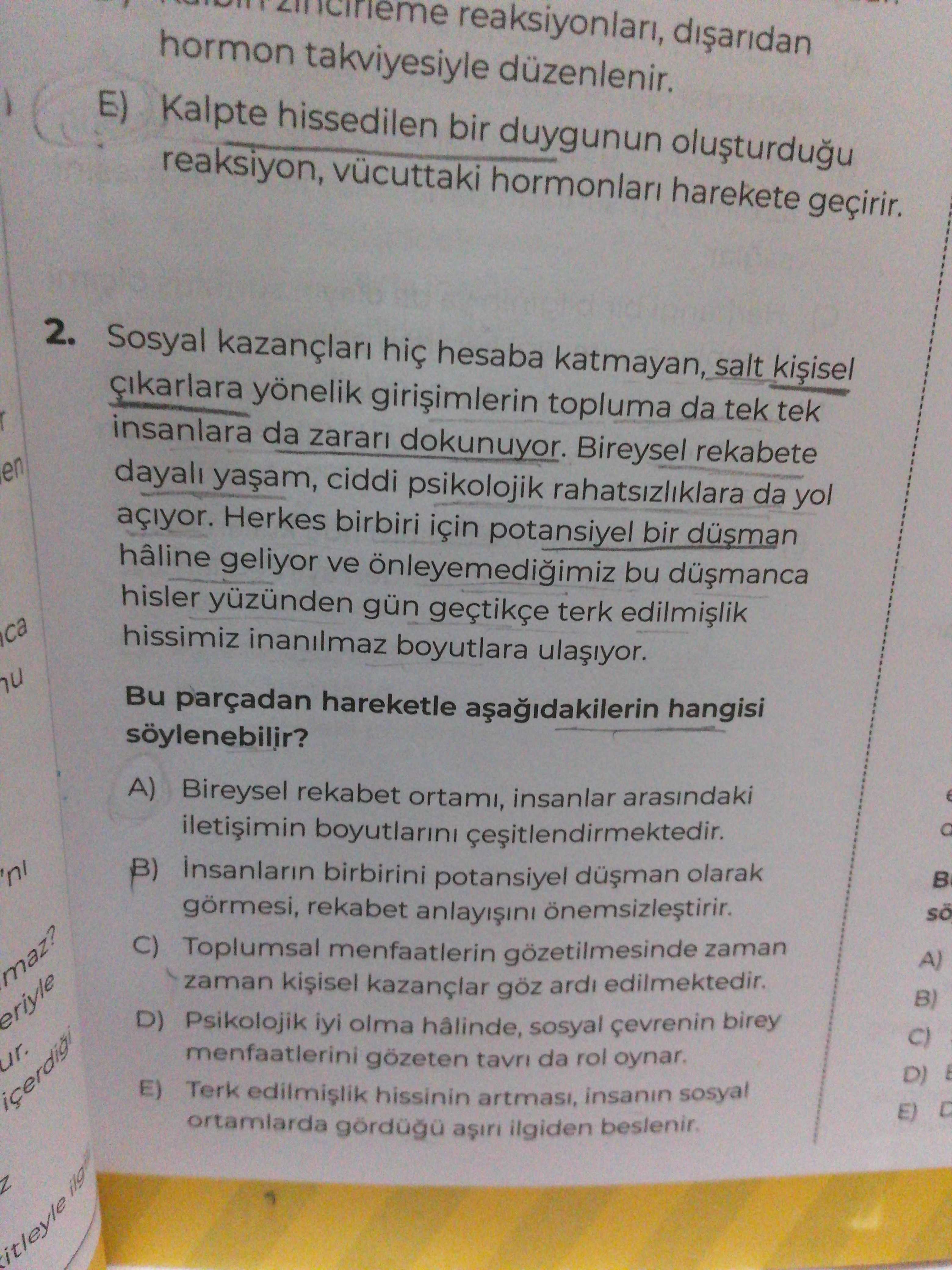 Türkçe (12. Sınıf)
