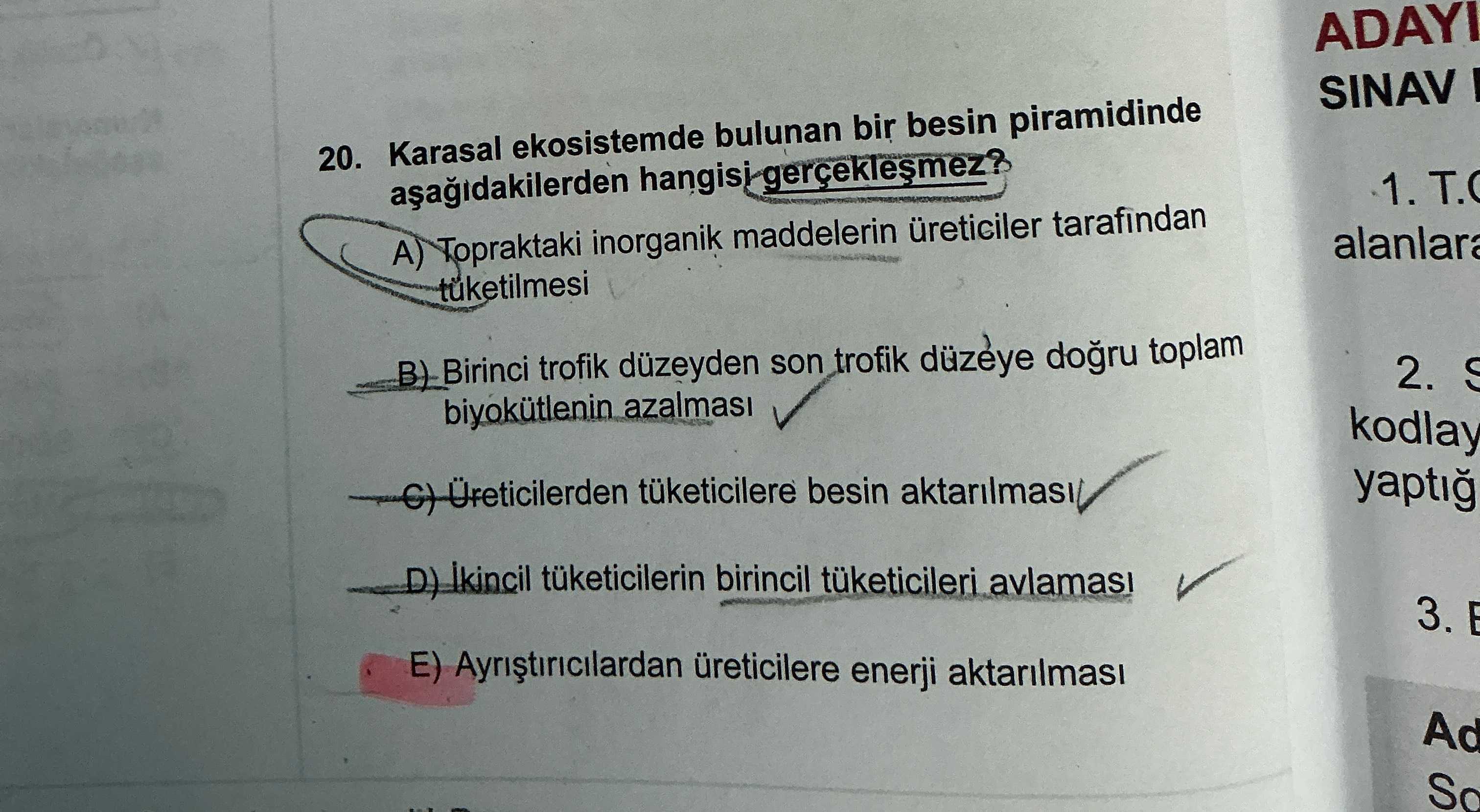 Karasal ekosistemde bulunan bir besin piramidinde aşağıdakilerden hangisi gerçekleşmez?