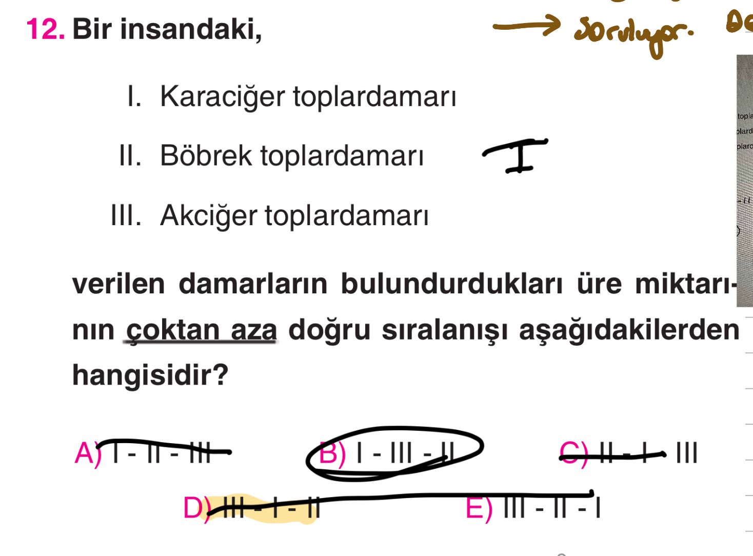 Biyoloji (11. Sınıf)
